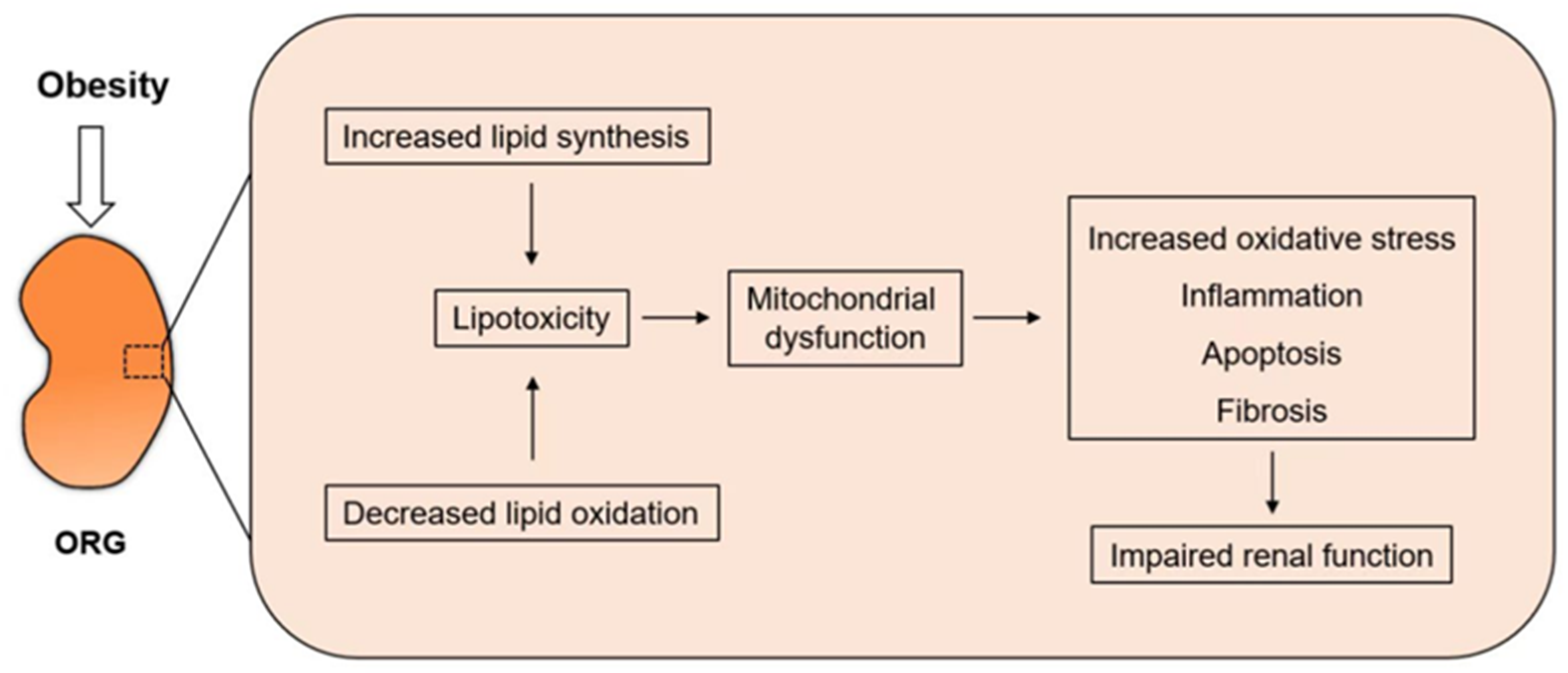 Pharmaceuticals 16 01256 g002