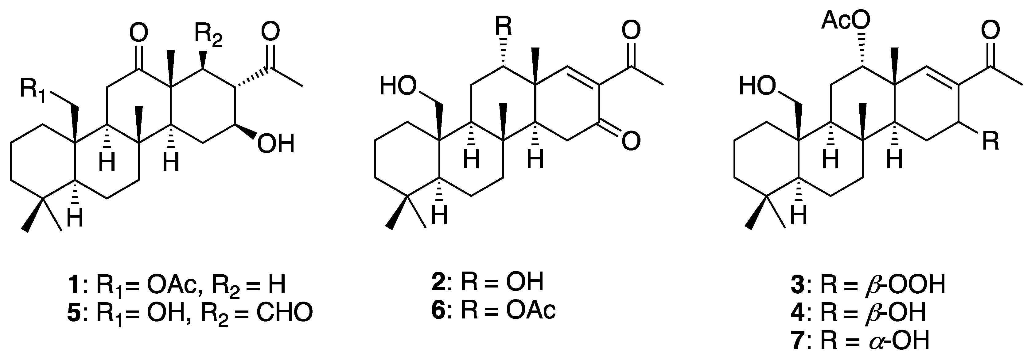 Pharmaceuticals 16 01258 g001