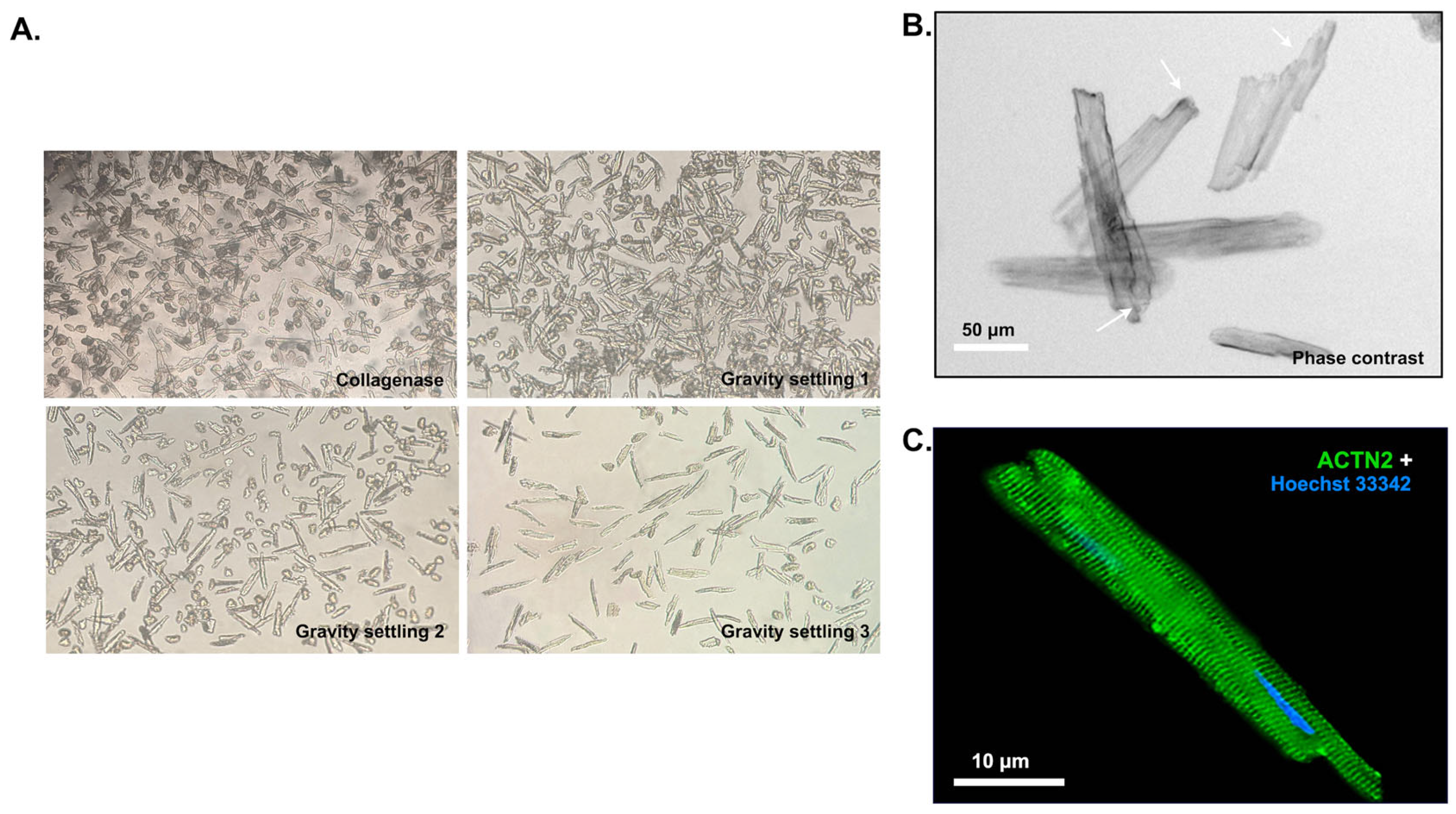 Pharmaceuticals 16 01264 g002