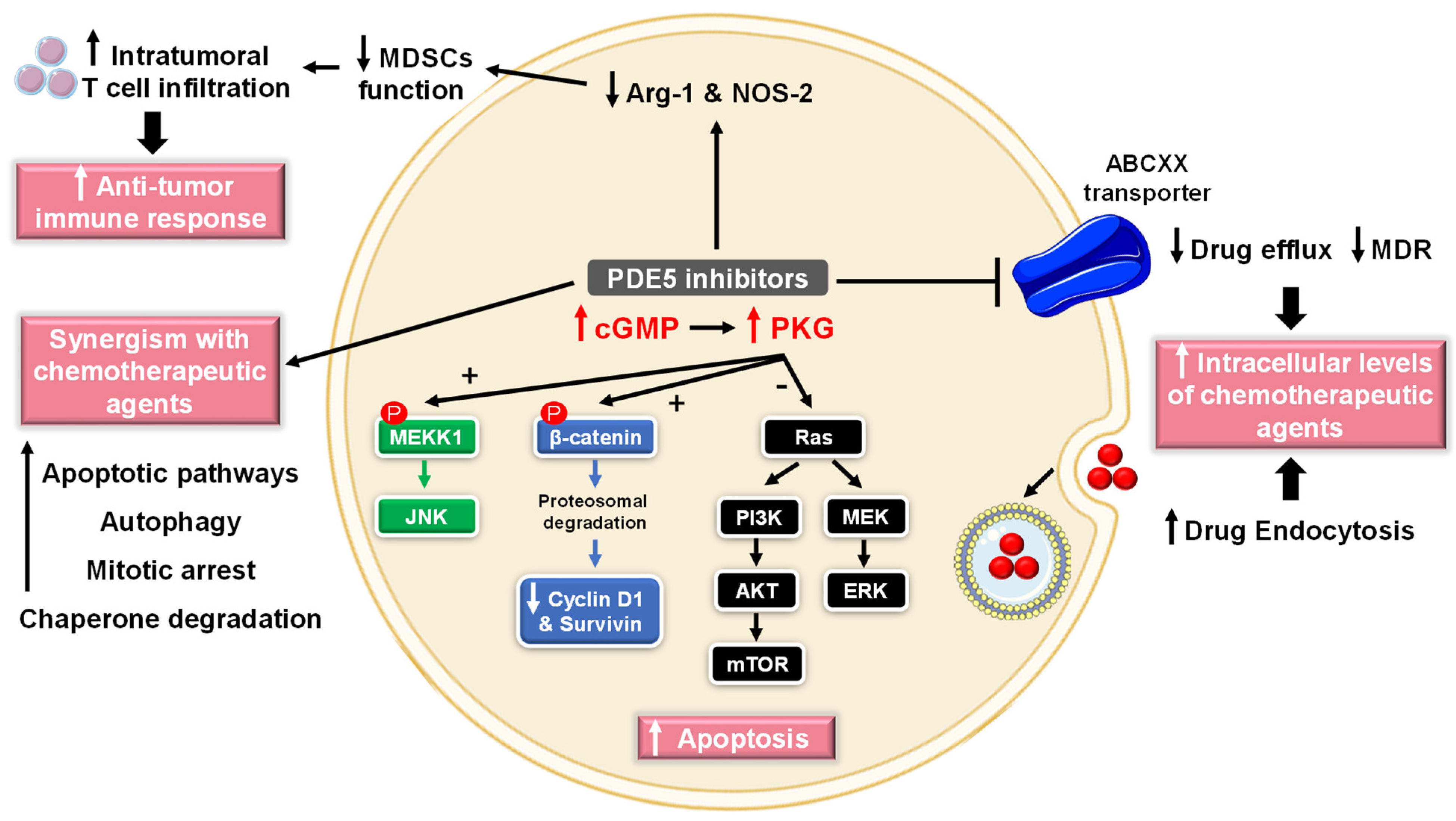 Pharmaceuticals 16 01266 g003 Pharmaceuticals 16 01266 g003