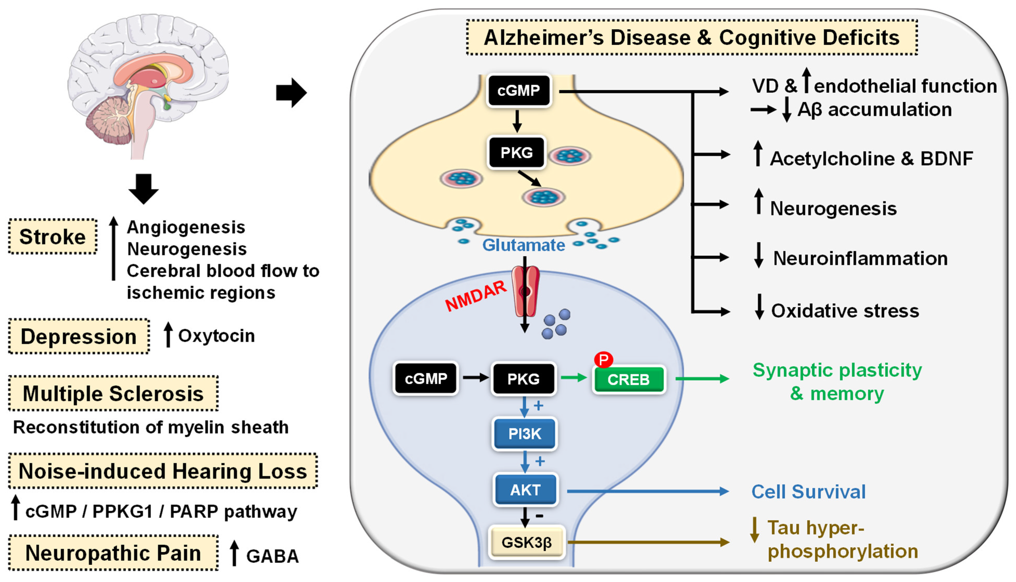 Pharmaceuticals 16 01266 g004 Pharmaceuticals 16 01266 g004