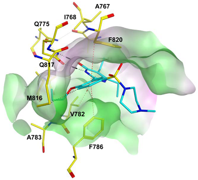 Pharmaceuticals 16 01266 i021 Pharmaceuticals 16 01266 i021