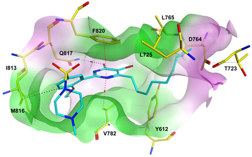 Pharmaceuticals 16 01266 i023 Pharmaceuticals 16 01266 i023