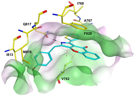 Pharmaceuticals 16 01266 i025 Pharmaceuticals 16 01266 i025