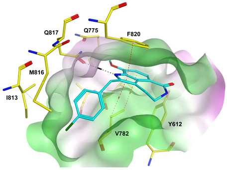 Pharmaceuticals 16 01266 i027 Pharmaceuticals 16 01266 i027