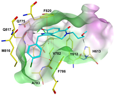 Pharmaceuticals 16 01266 i028 Pharmaceuticals 16 01266 i028