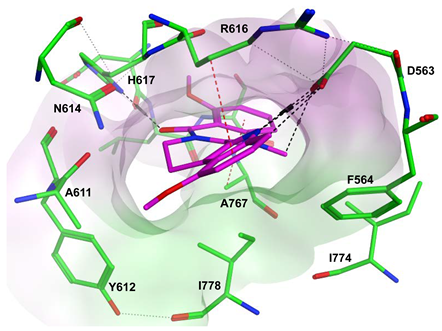 Pharmaceuticals 16 01266 i029 Pharmaceuticals 16 01266 i029