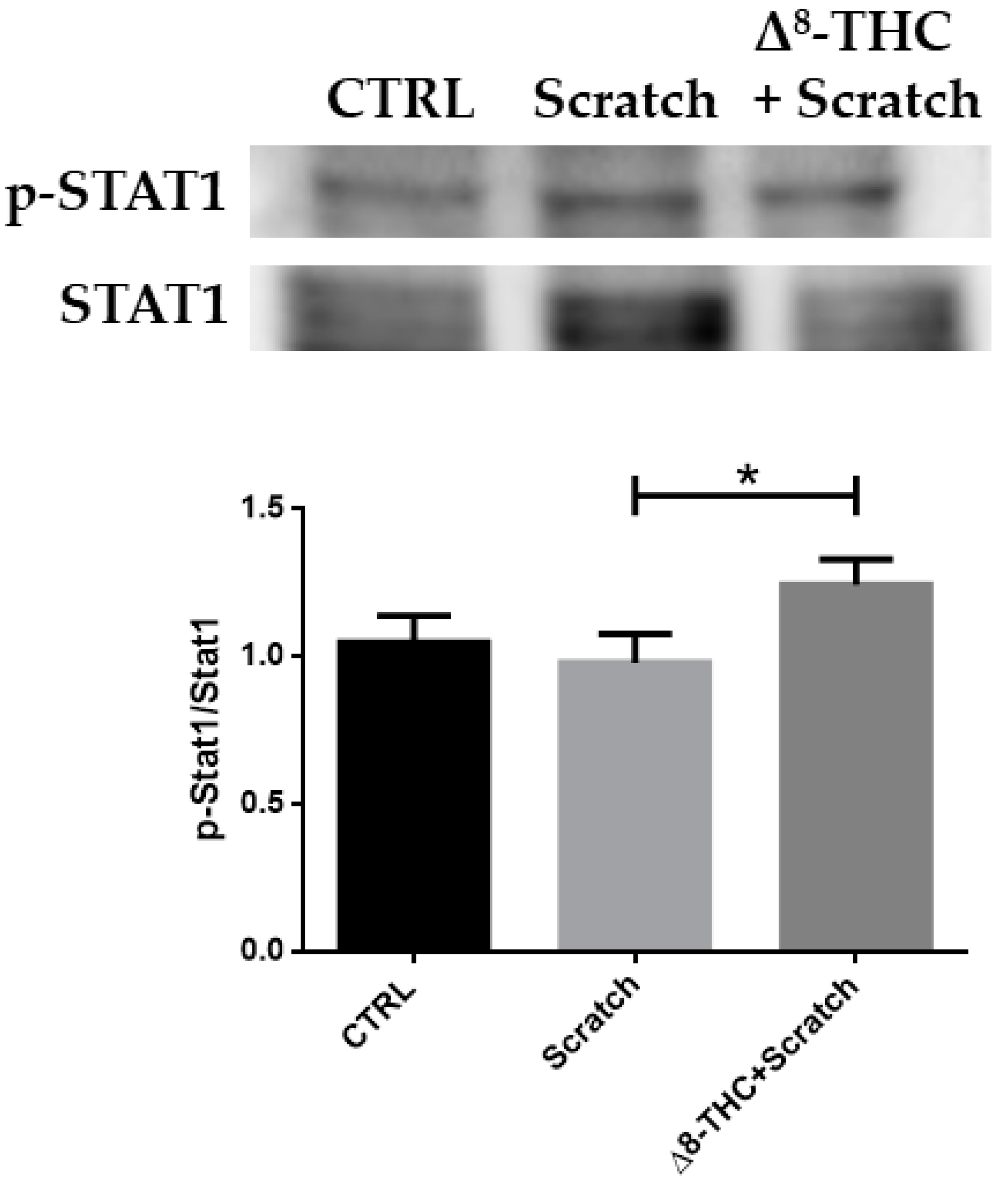 Pharmaceuticals 16 01268 g004