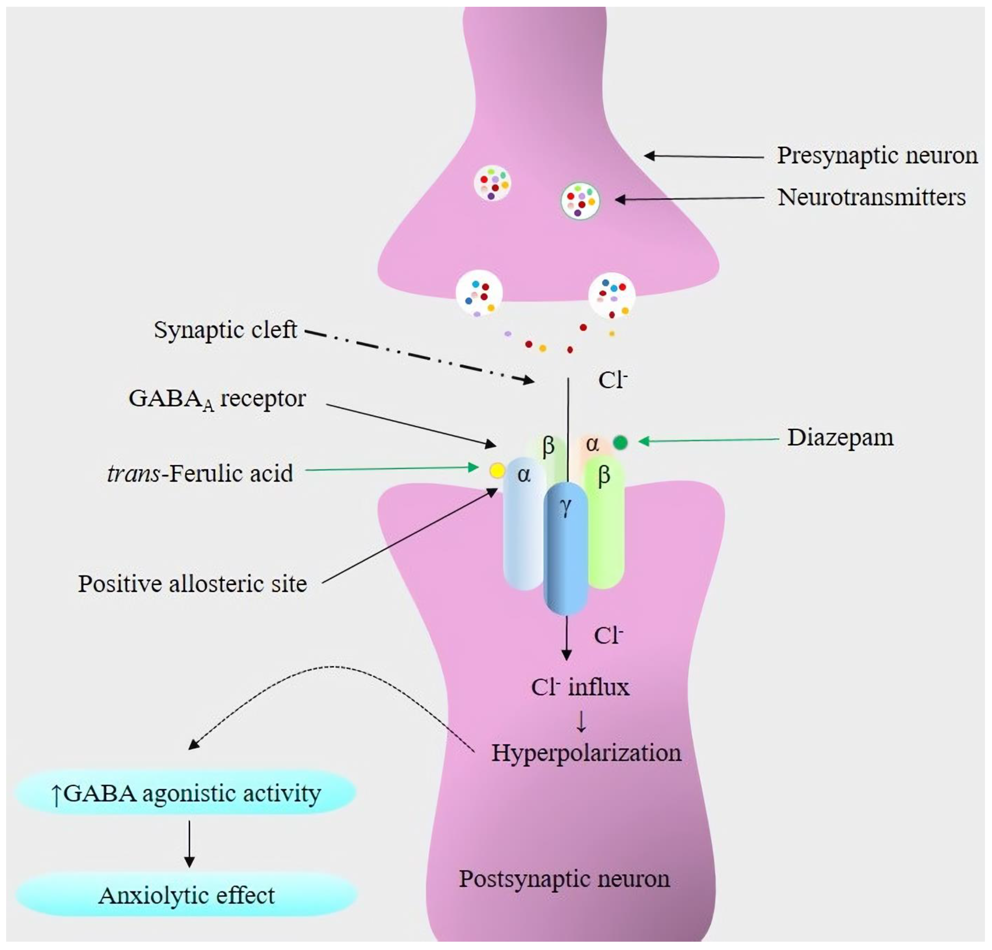 Pharmaceuticals 16 01271 g005