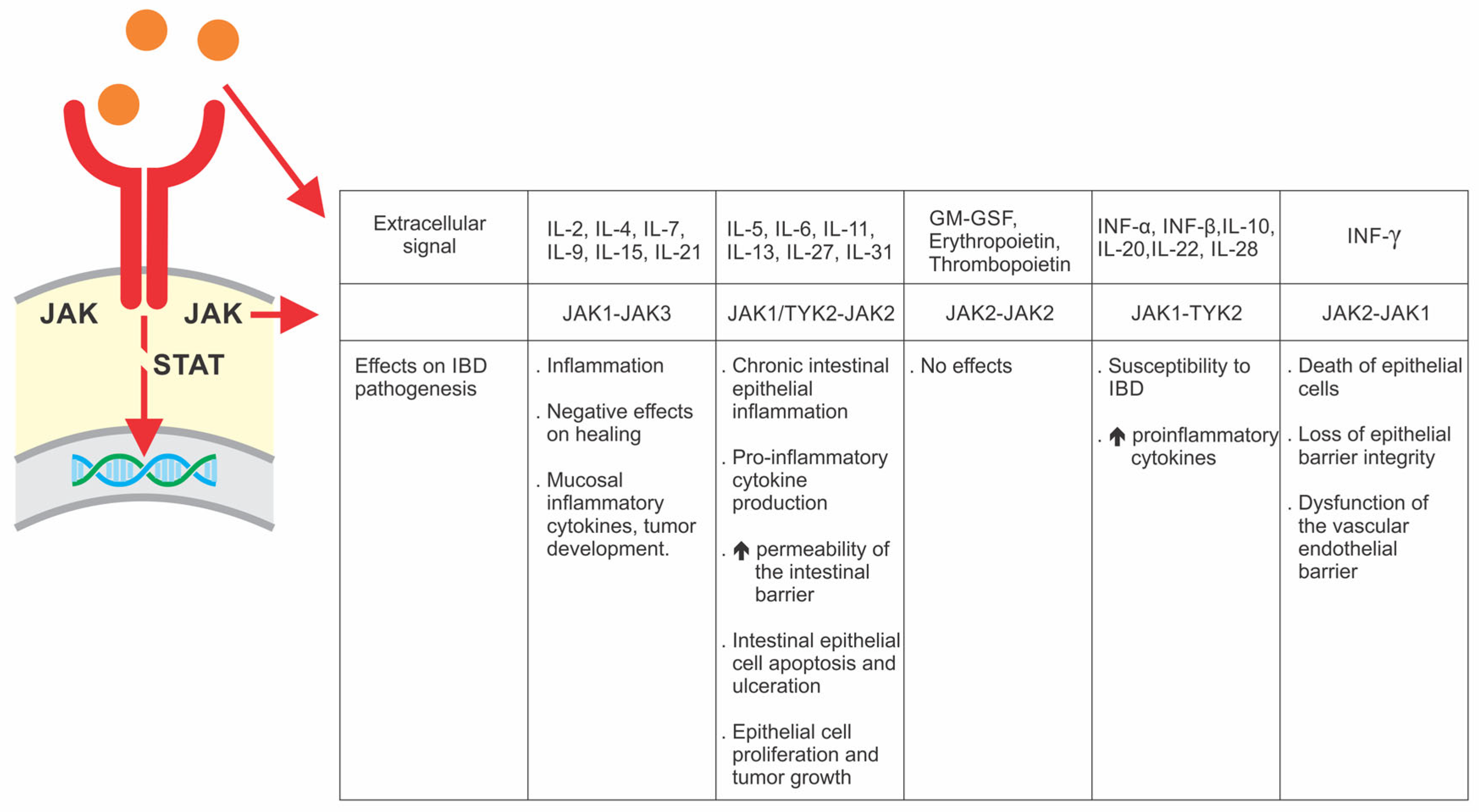 Pharmaceuticals 16 01272 g004