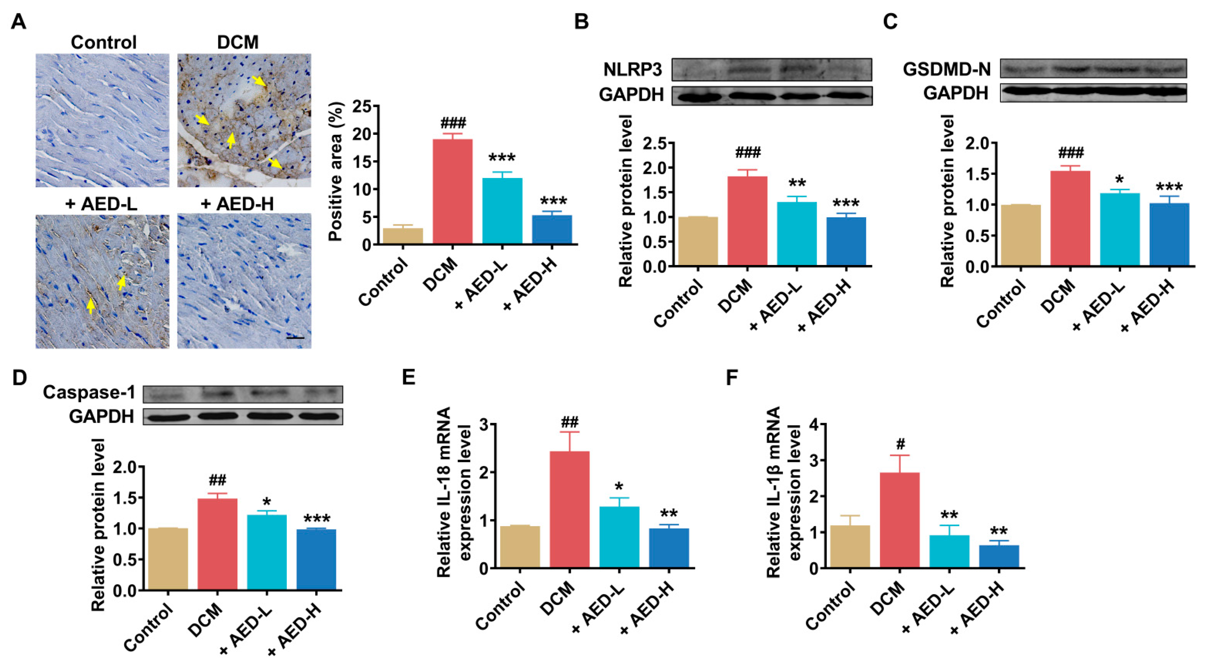 Pharmaceuticals 16 01275 g003
