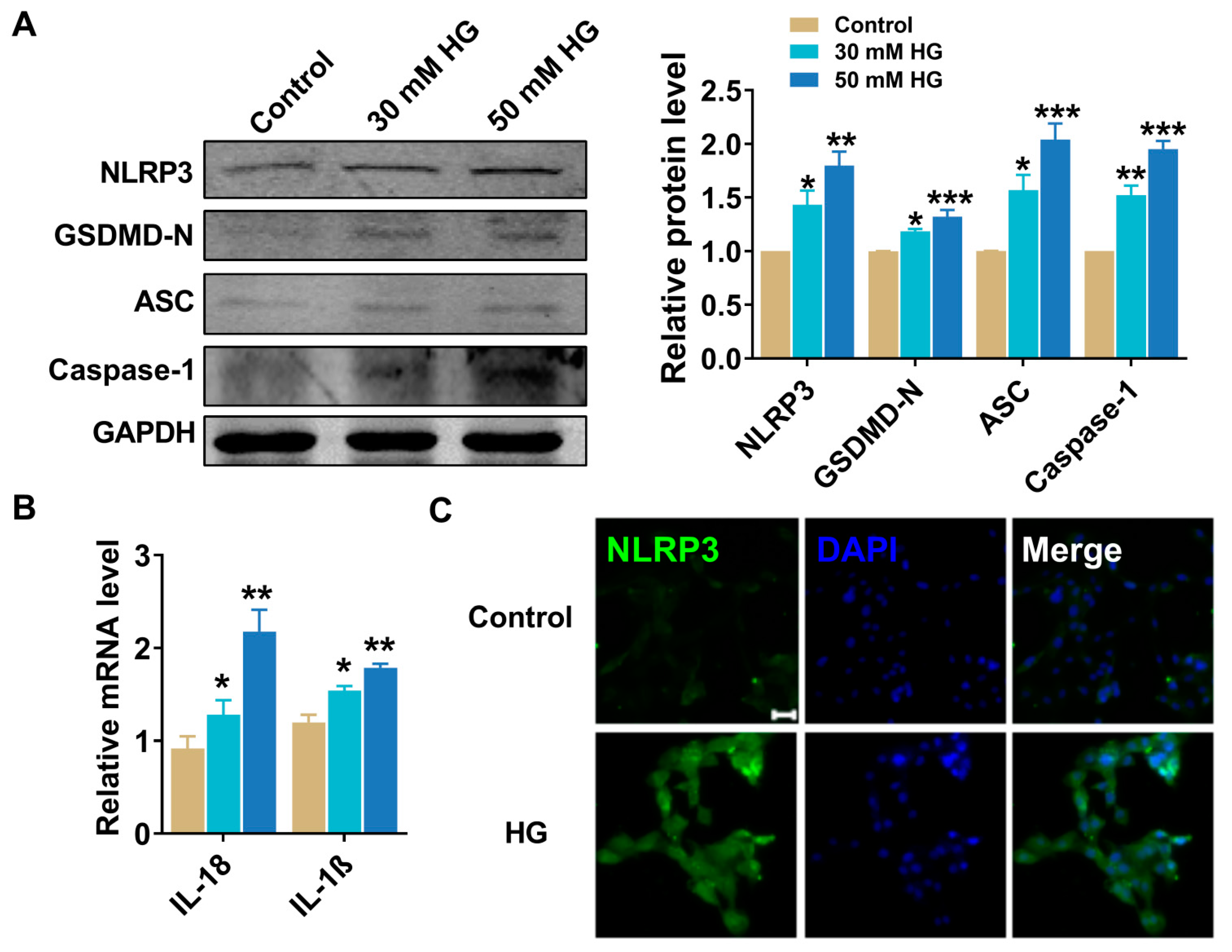 Pharmaceuticals 16 01275 g004