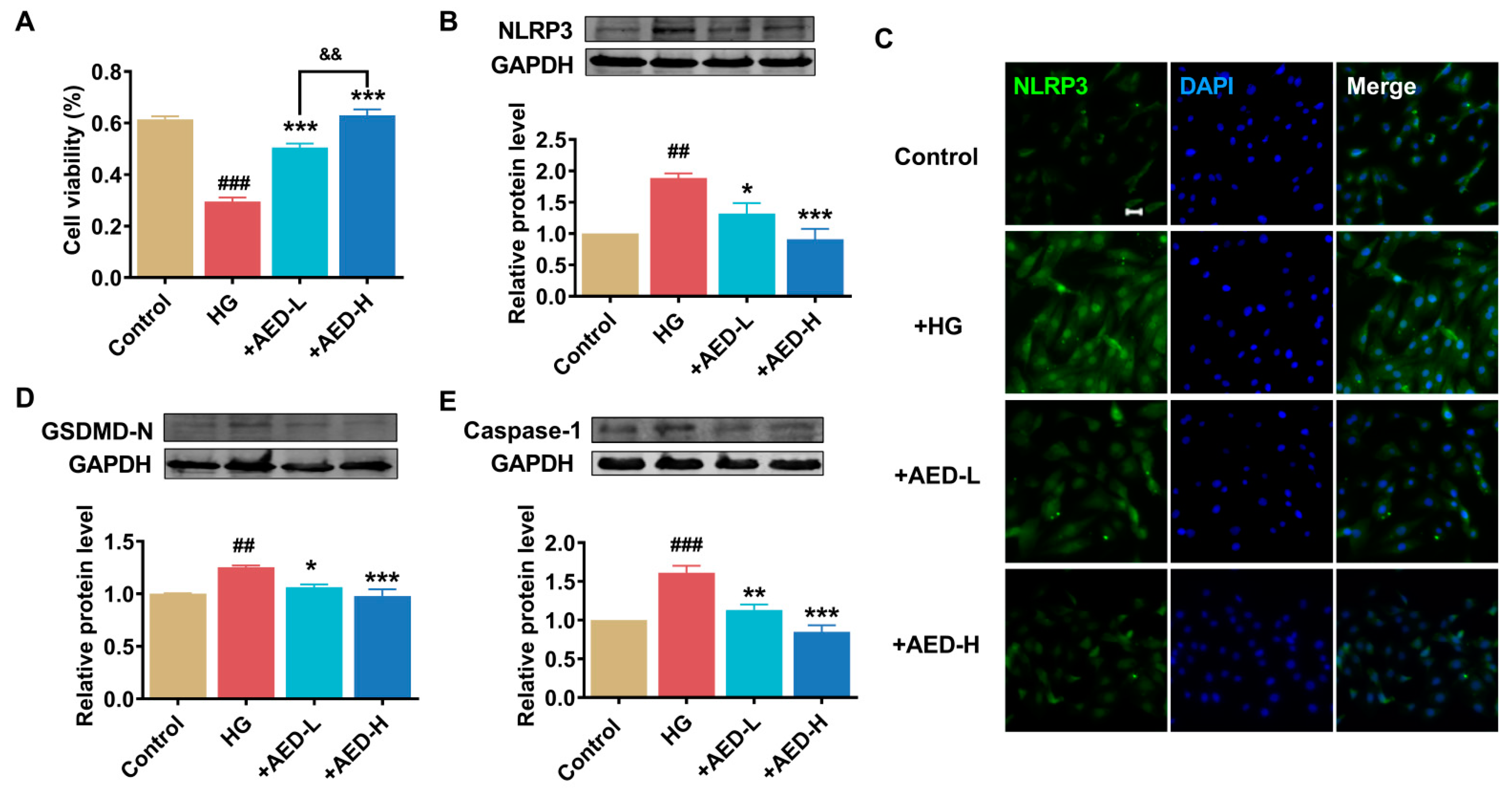 Pharmaceuticals 16 01275 g005