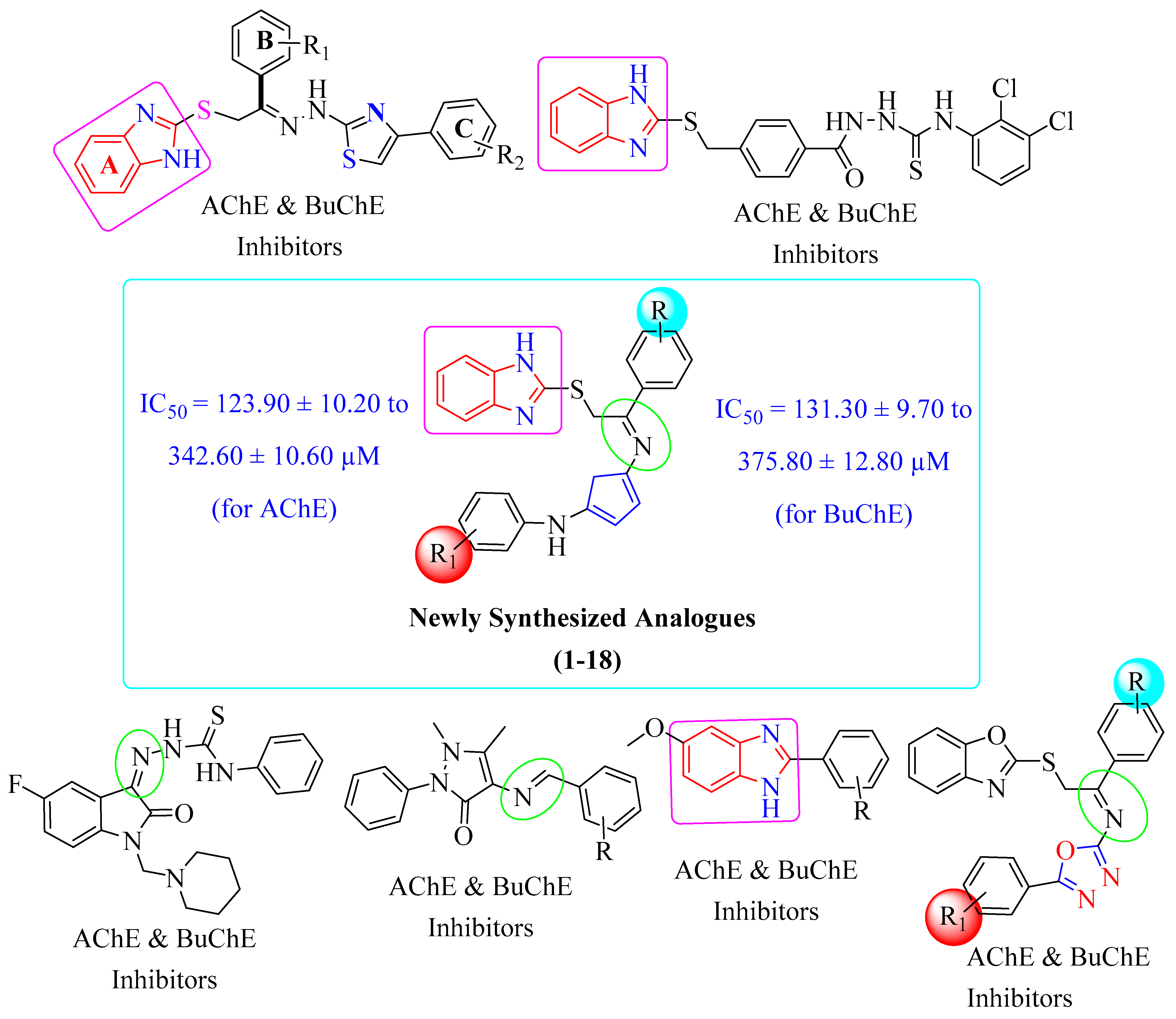 Pharmaceuticals 16 01278 g004