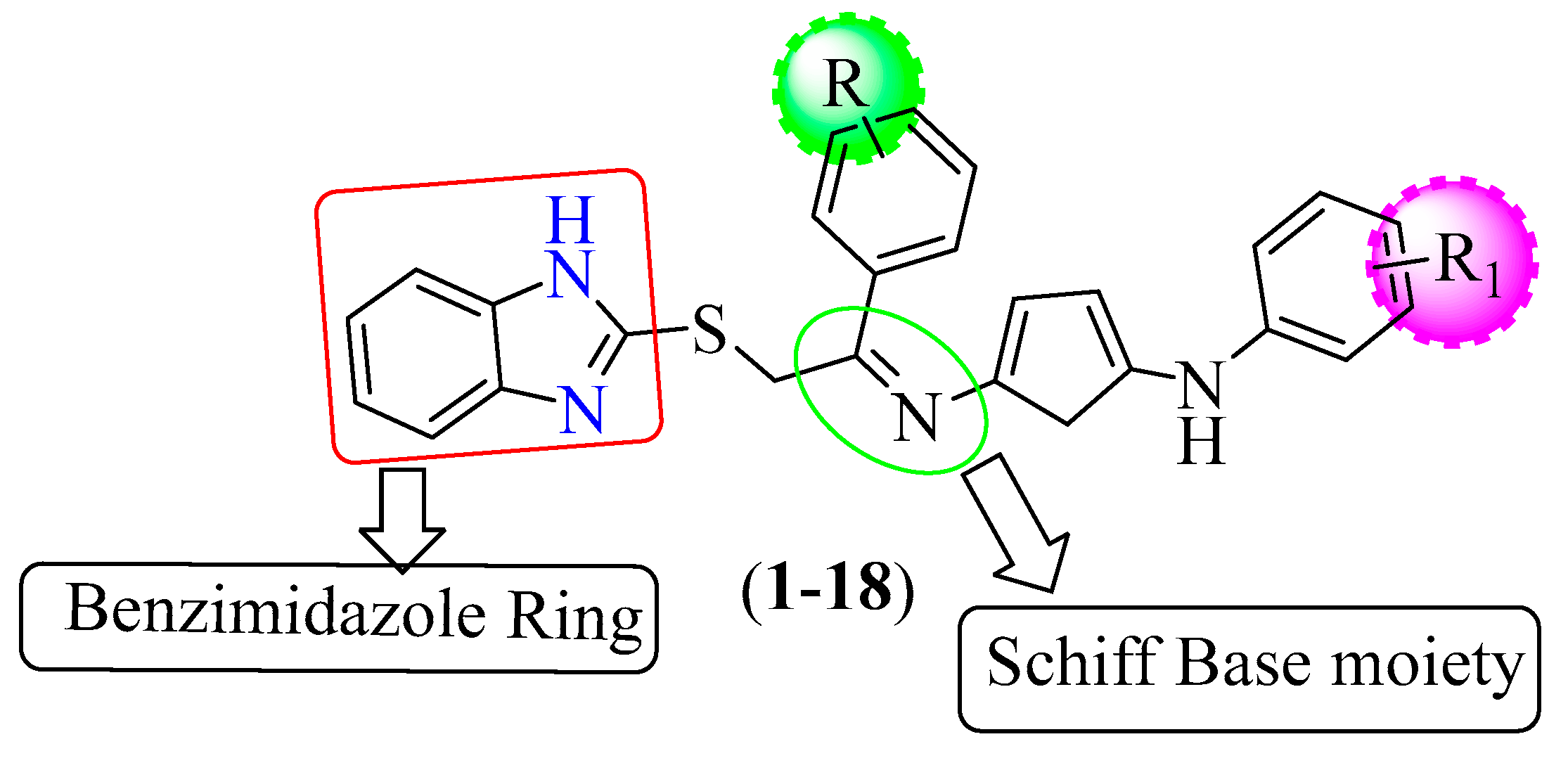 Pharmaceuticals 16 01278 g005