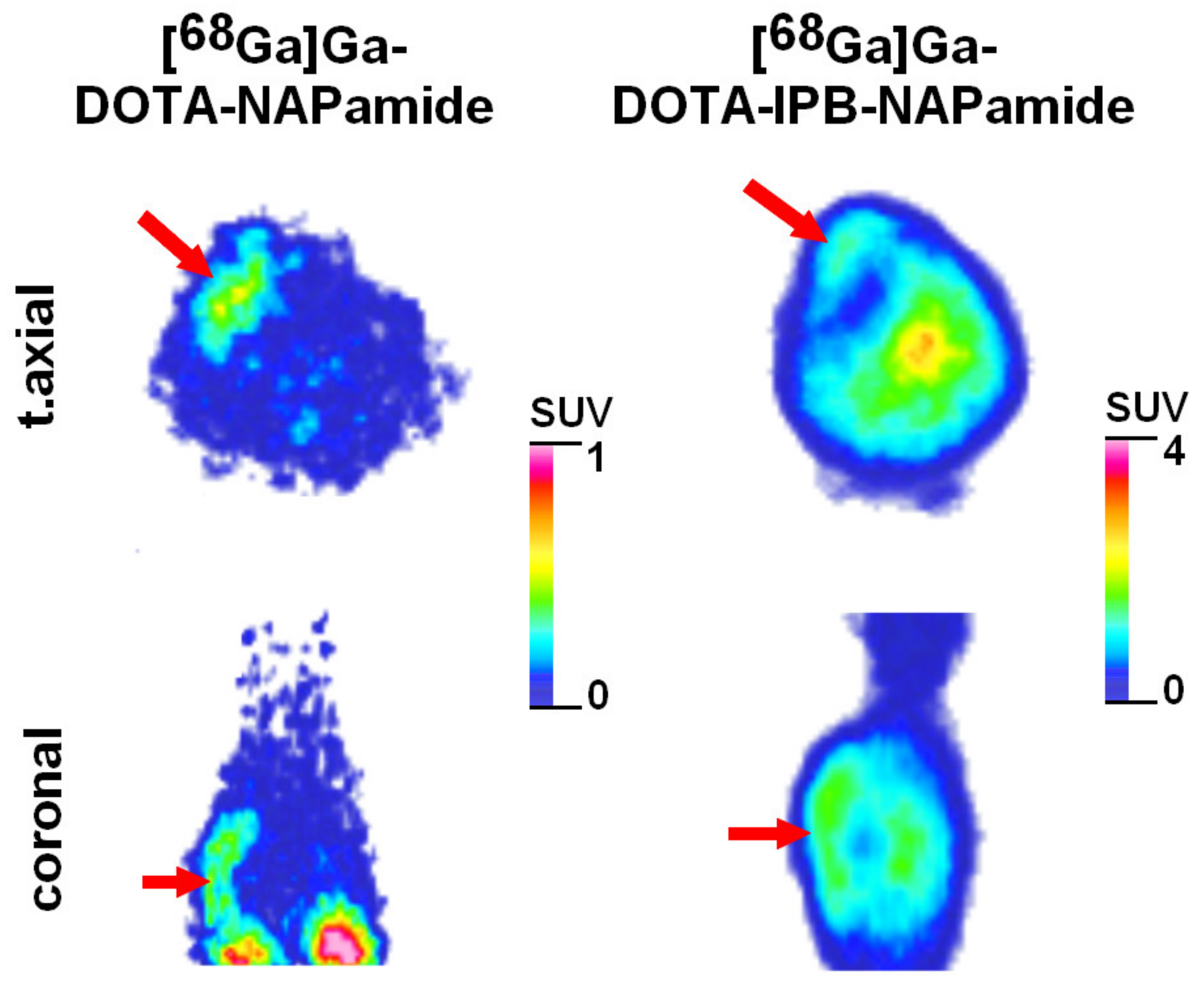 Pharmaceuticals 16 01280 g003
