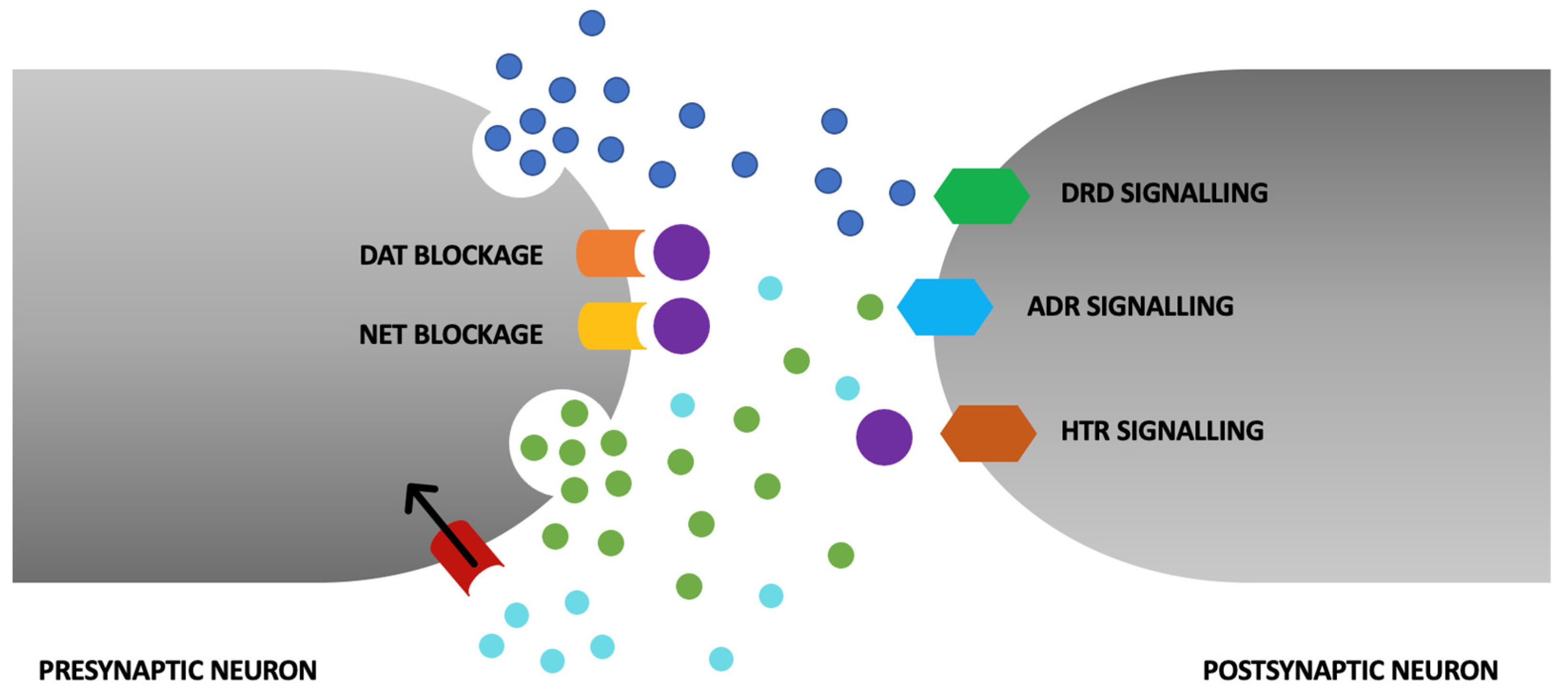 Pharmaceuticals 16 01292 g001 Pharmaceuticals 16 01292 g001