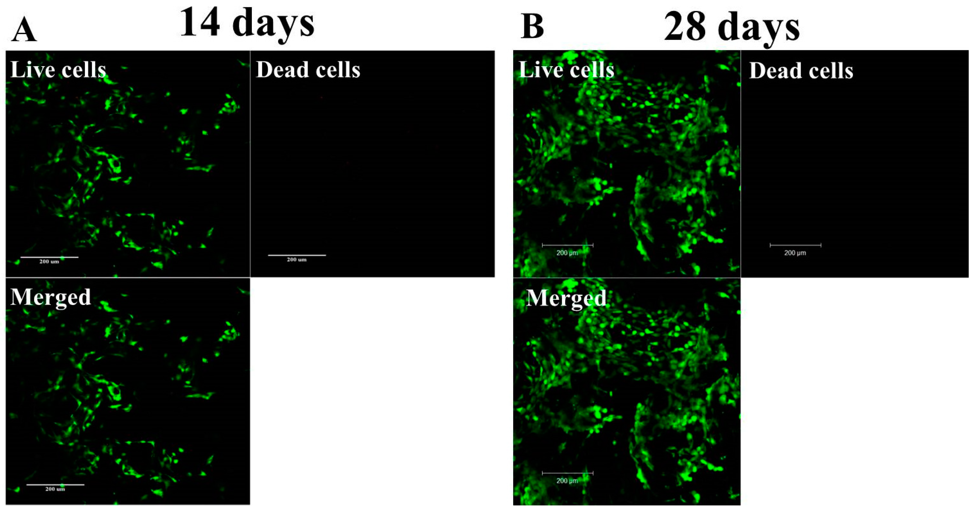 Pharmaceuticals 16 01293 g008