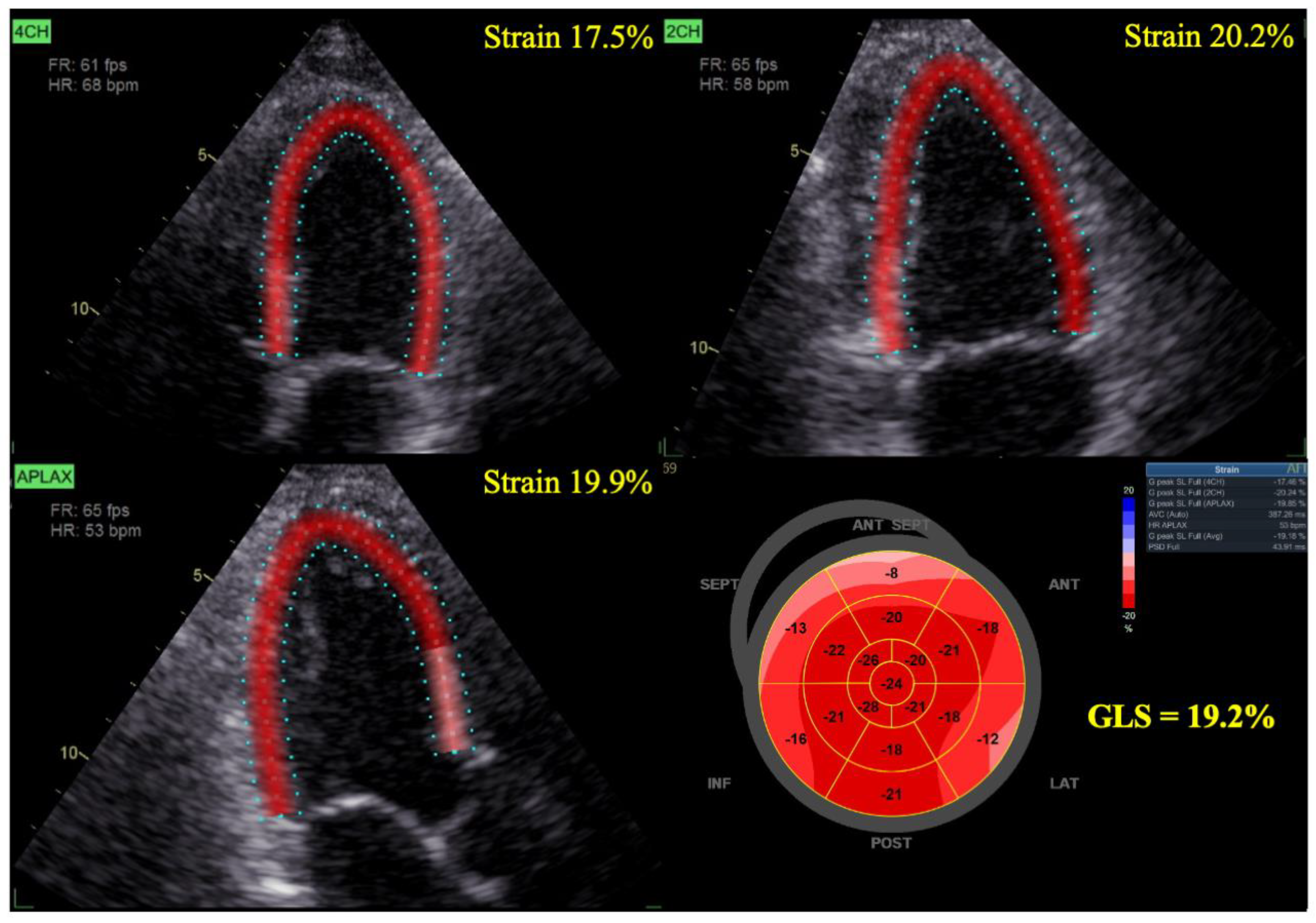 Pharmaceuticals 16 01297 g001