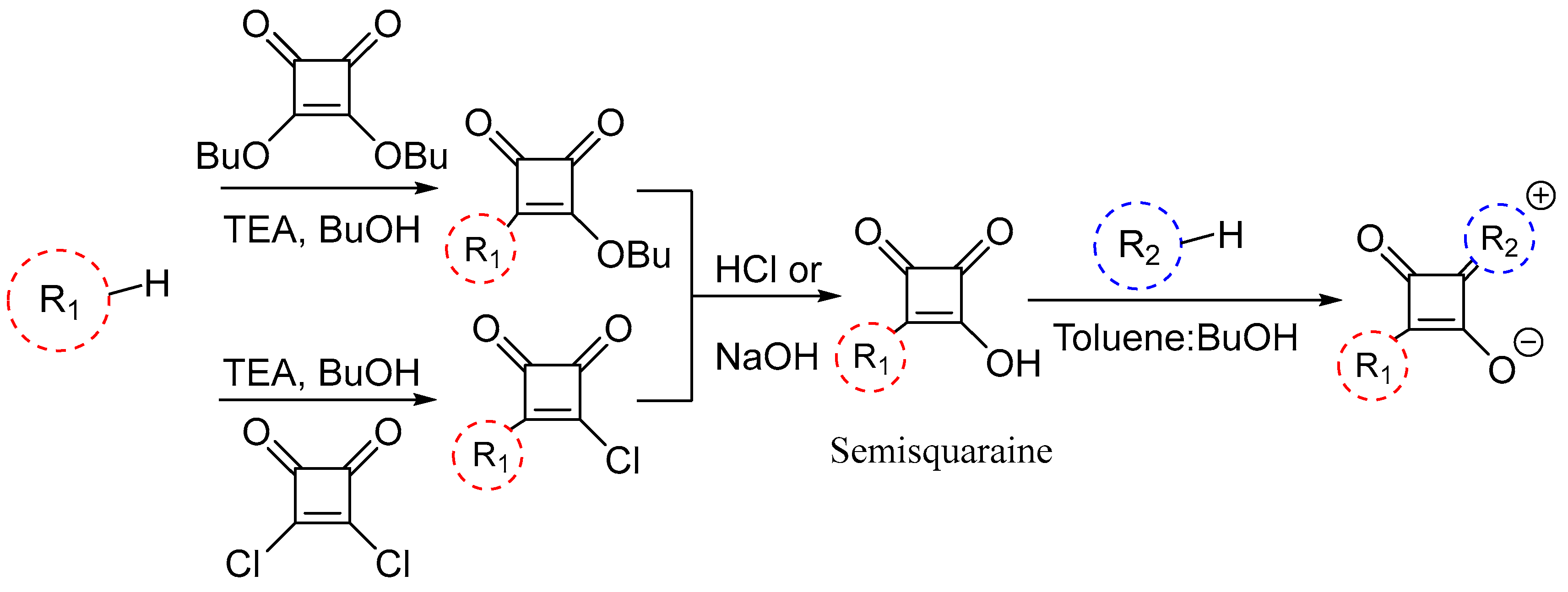 Pharmaceuticals 16 01299 sch002