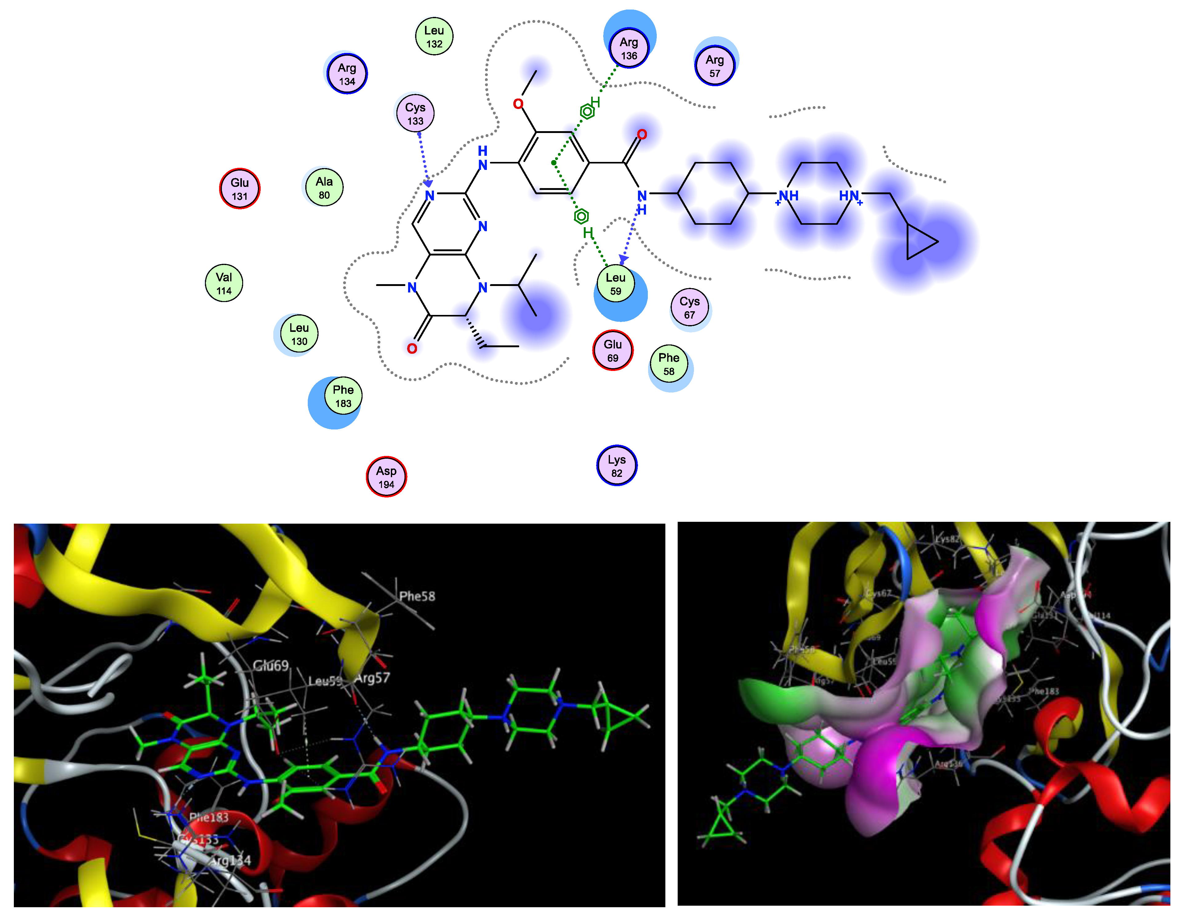 Pharmaceuticals 16 01303 g008 Pharmaceuticals 16 01303 g008