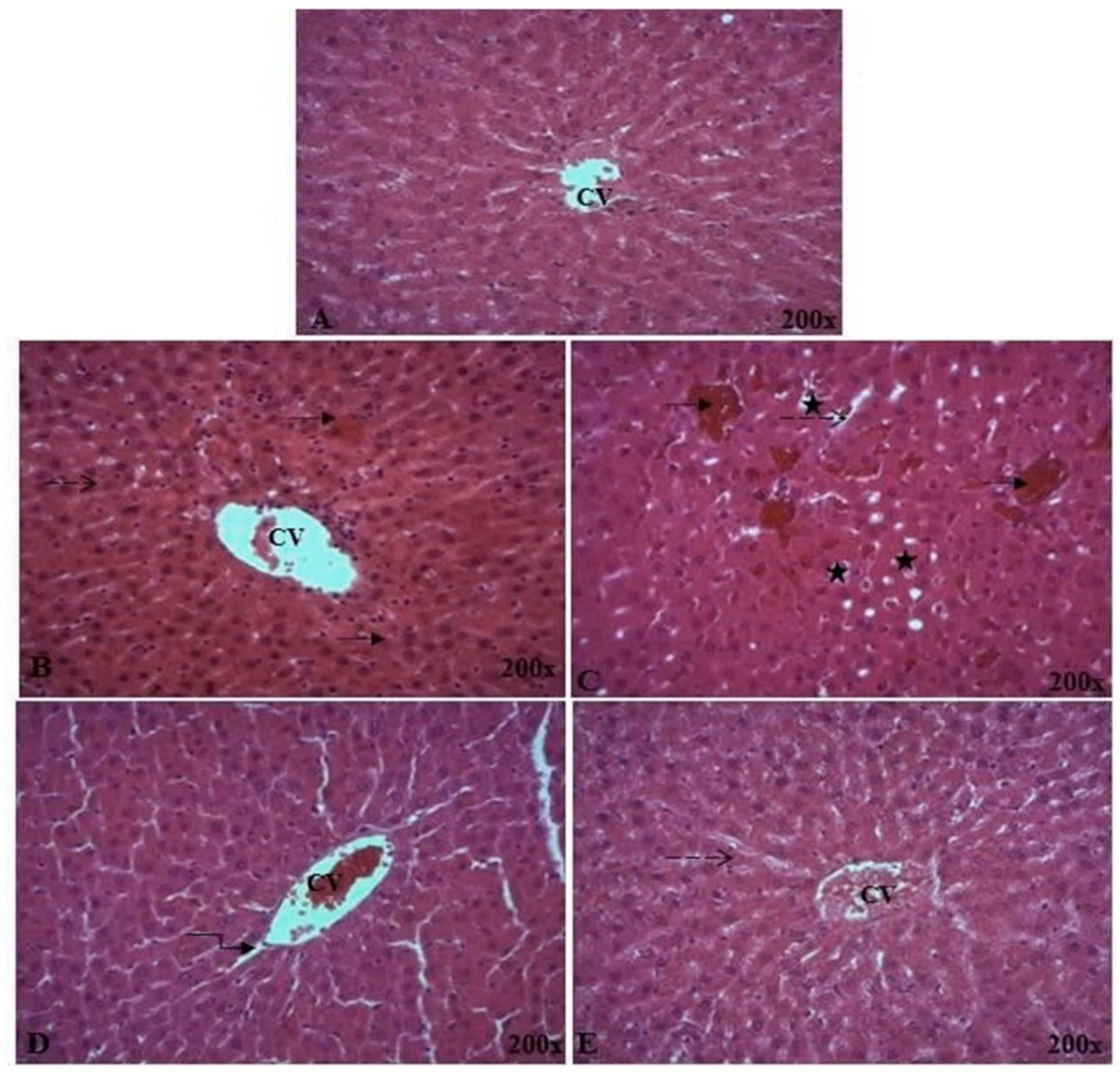 Pharmaceuticals 16 01305 g009a