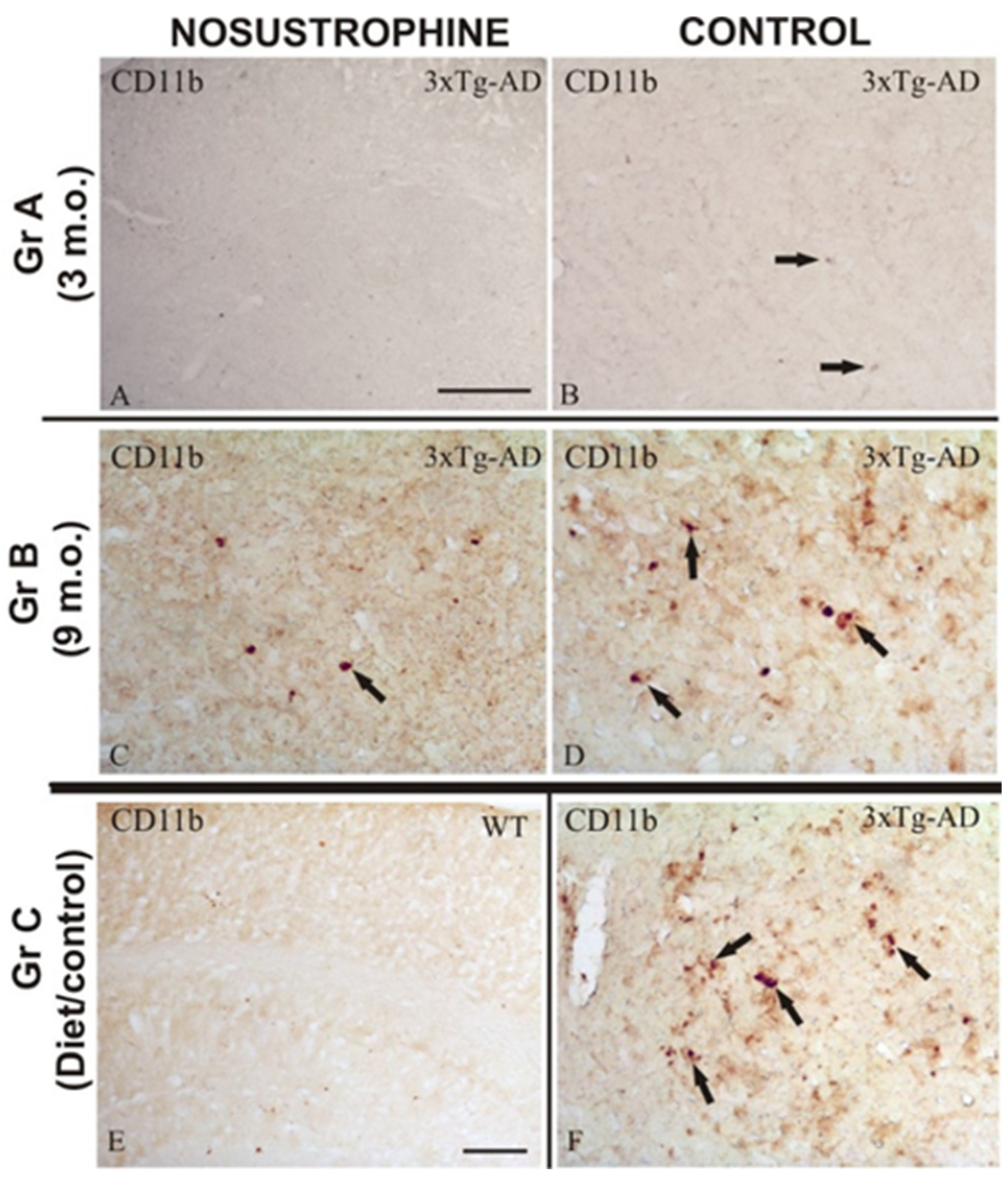 Pharmaceuticals 16 01306 g004