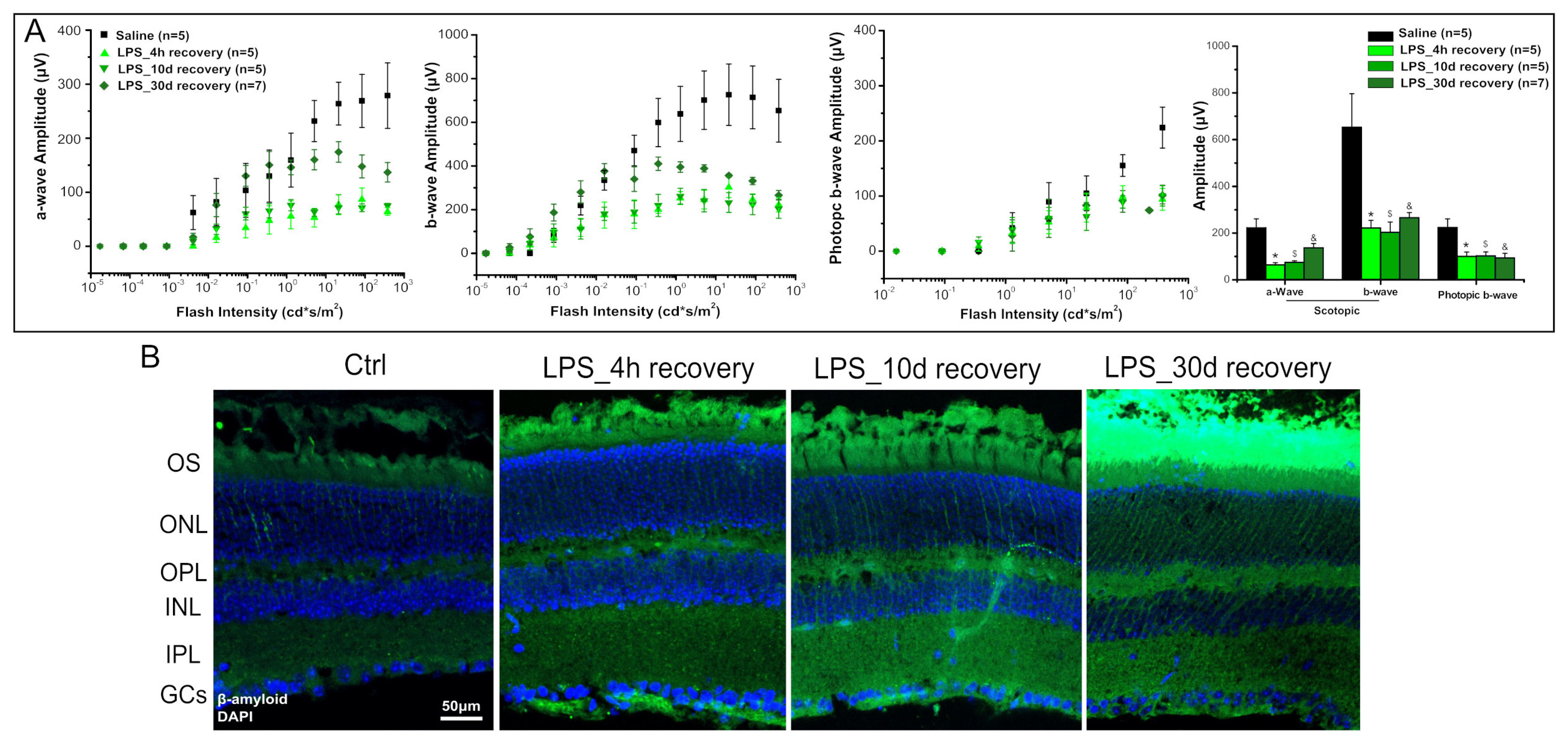 Pharmaceuticals 16 01307 g003