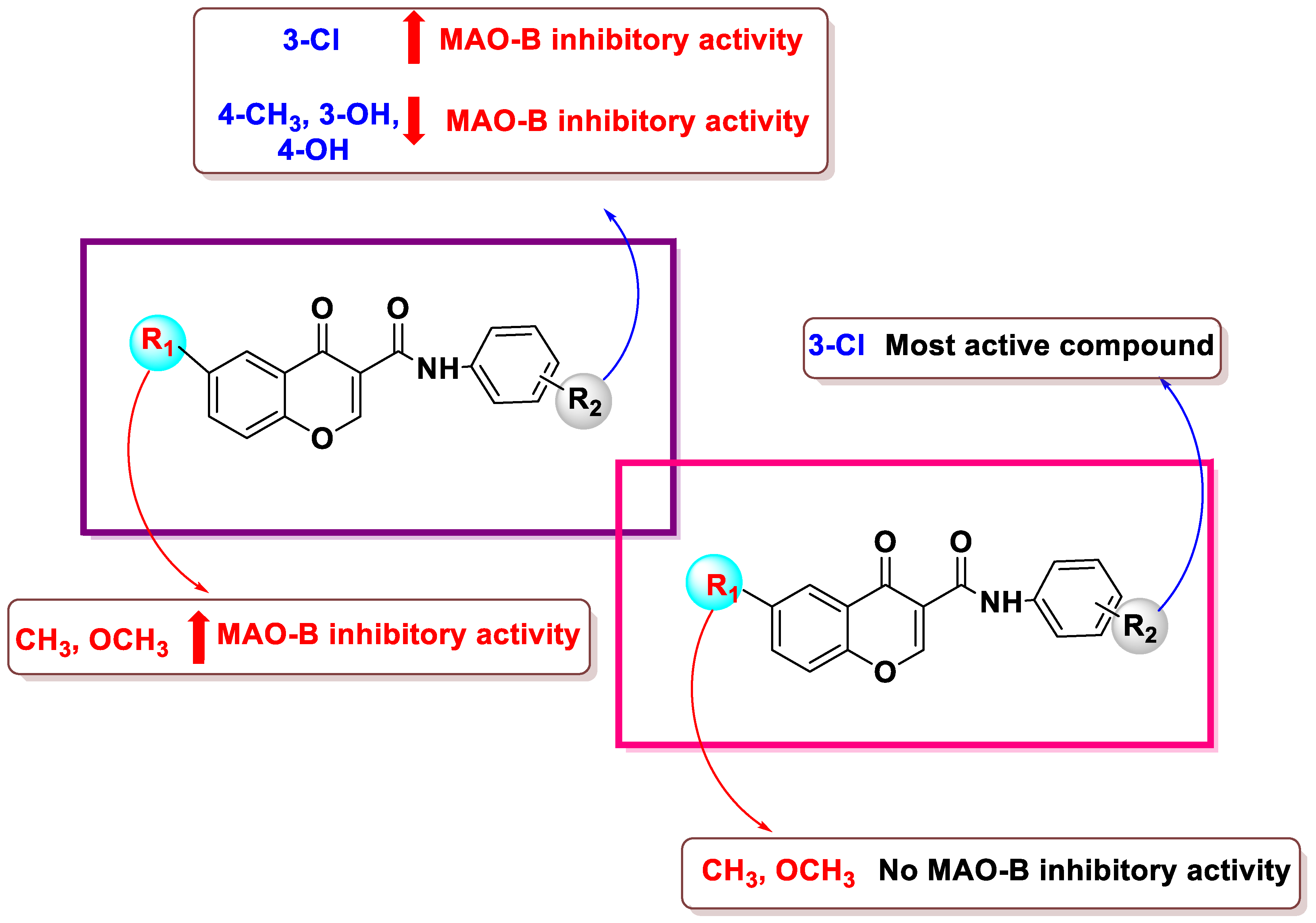 Pharmaceuticals 16 01310 g006