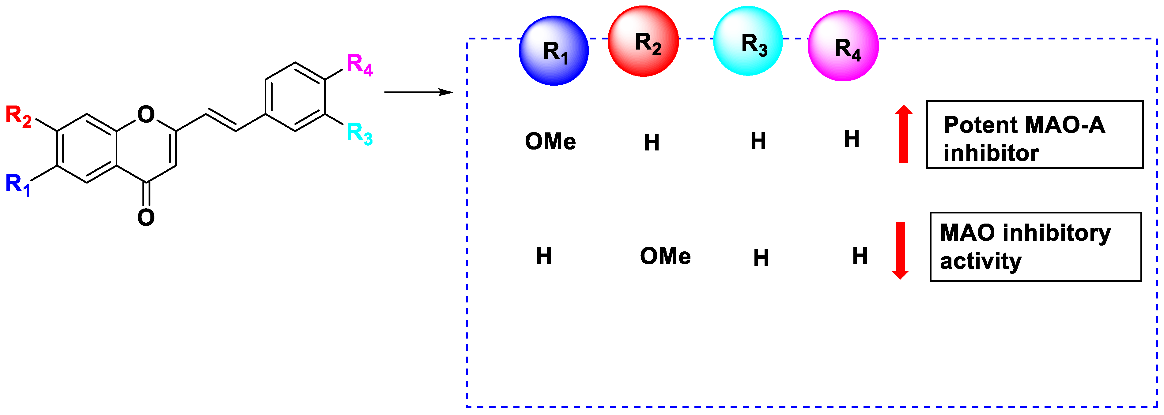 Pharmaceuticals 16 01310 g013