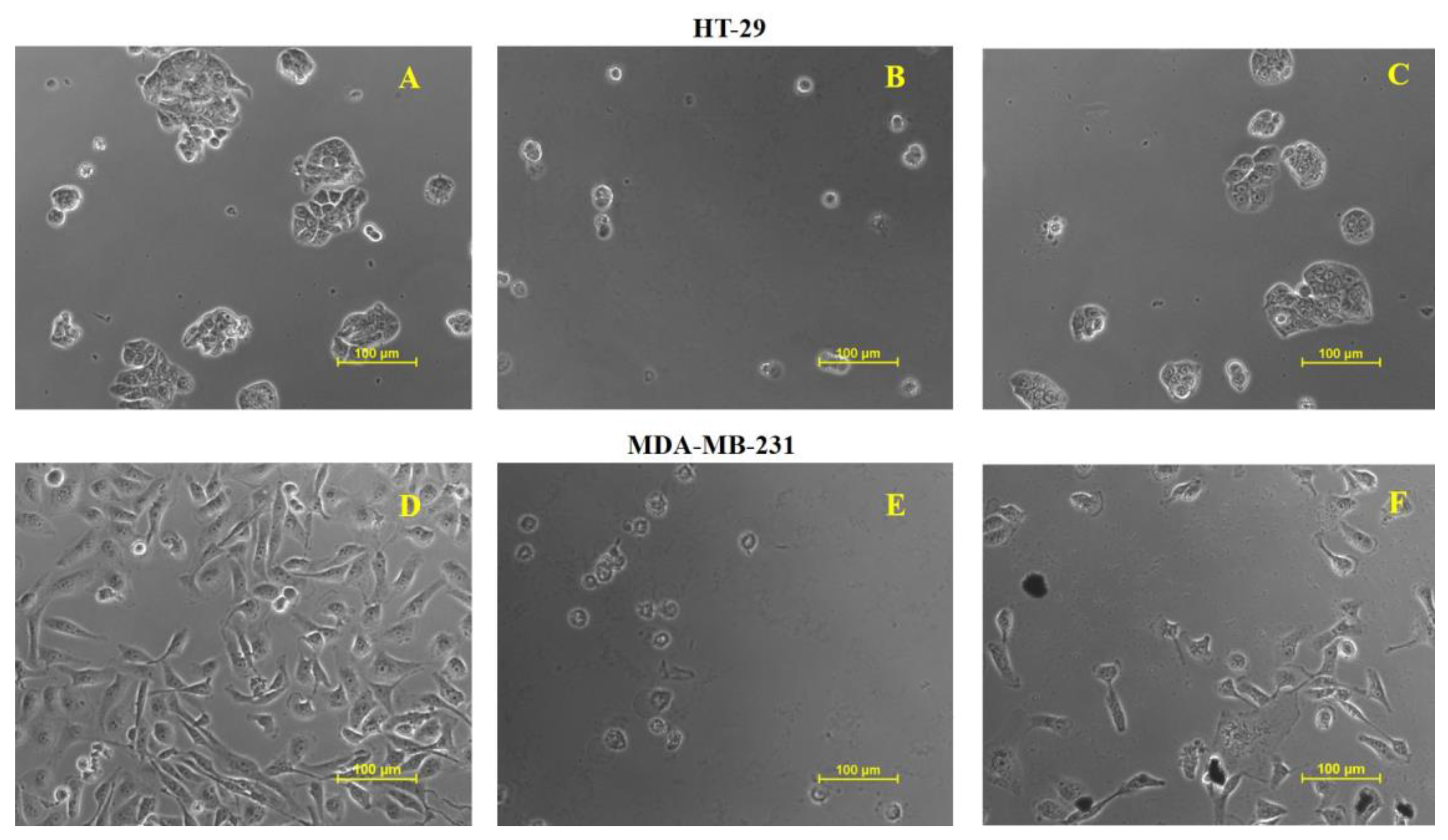 Pharmaceuticals 16 01311 g007