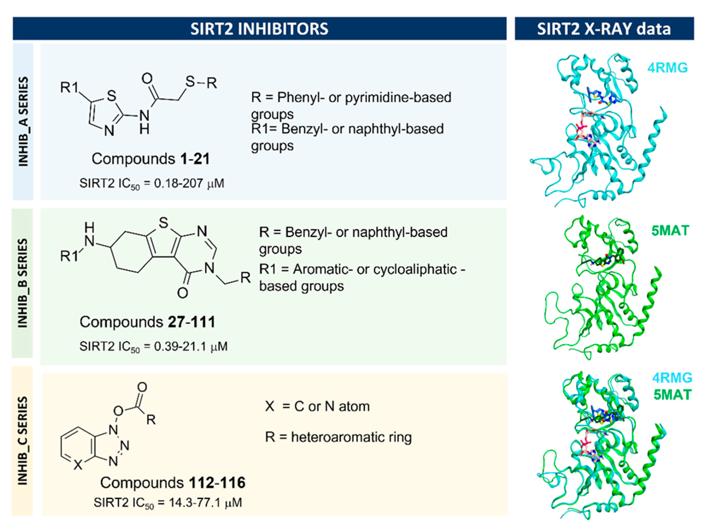 Pharmaceuticals 16 01316 g002