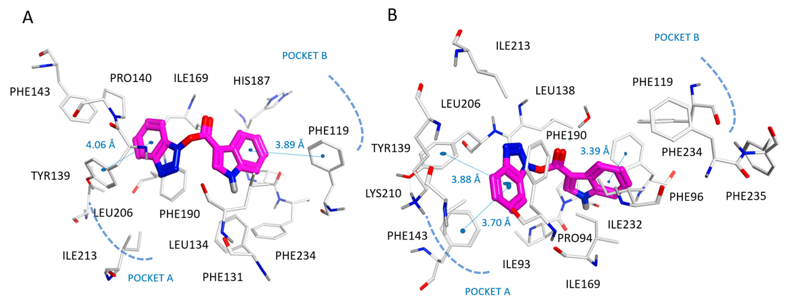 Pharmaceuticals 16 01316 g008