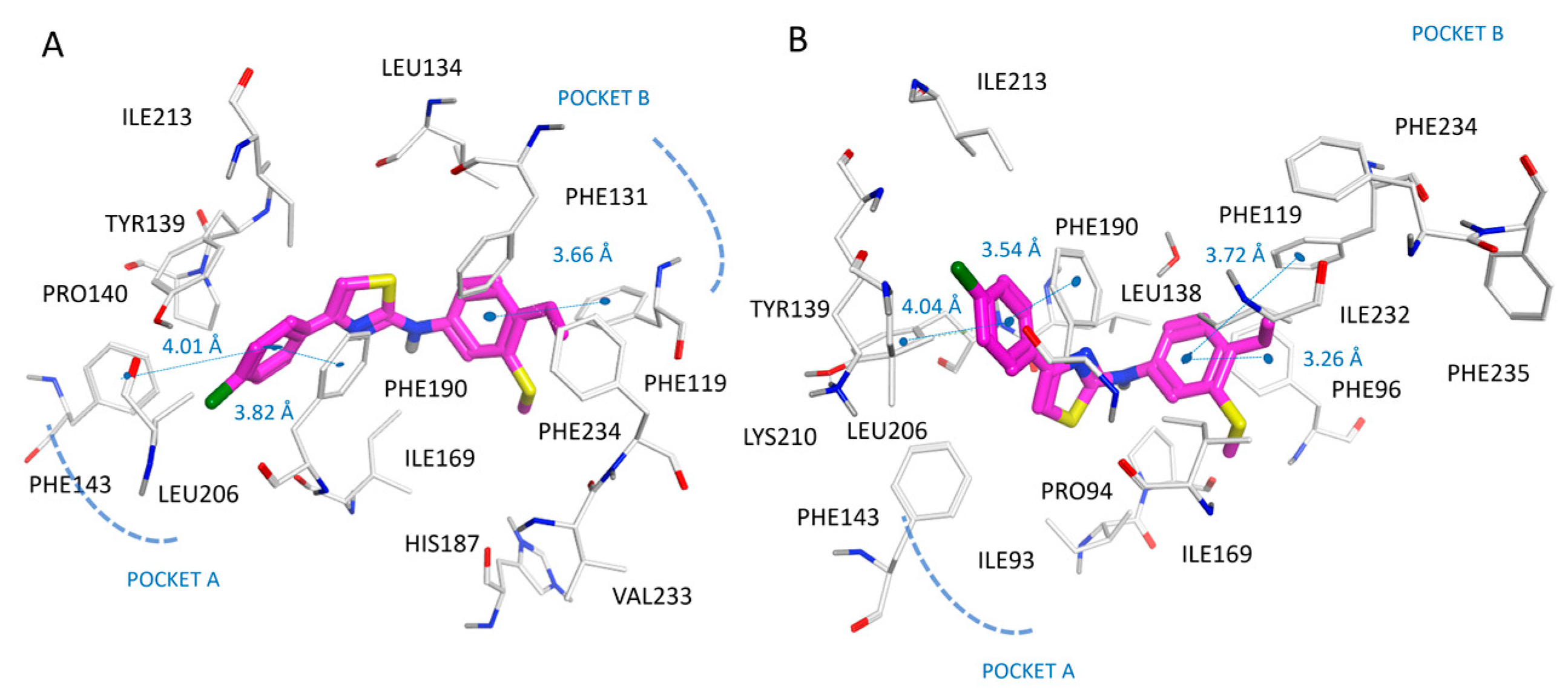 Pharmaceuticals 16 01316 g010