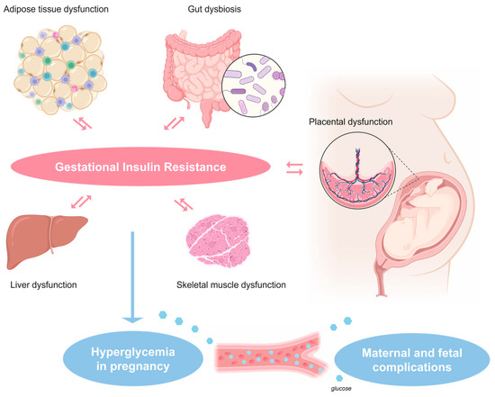Metformin in Gestational Diabetes Mellitus: To Use or Not to Metformin in Gestational Diabetes Mellitus: To Use or Not to