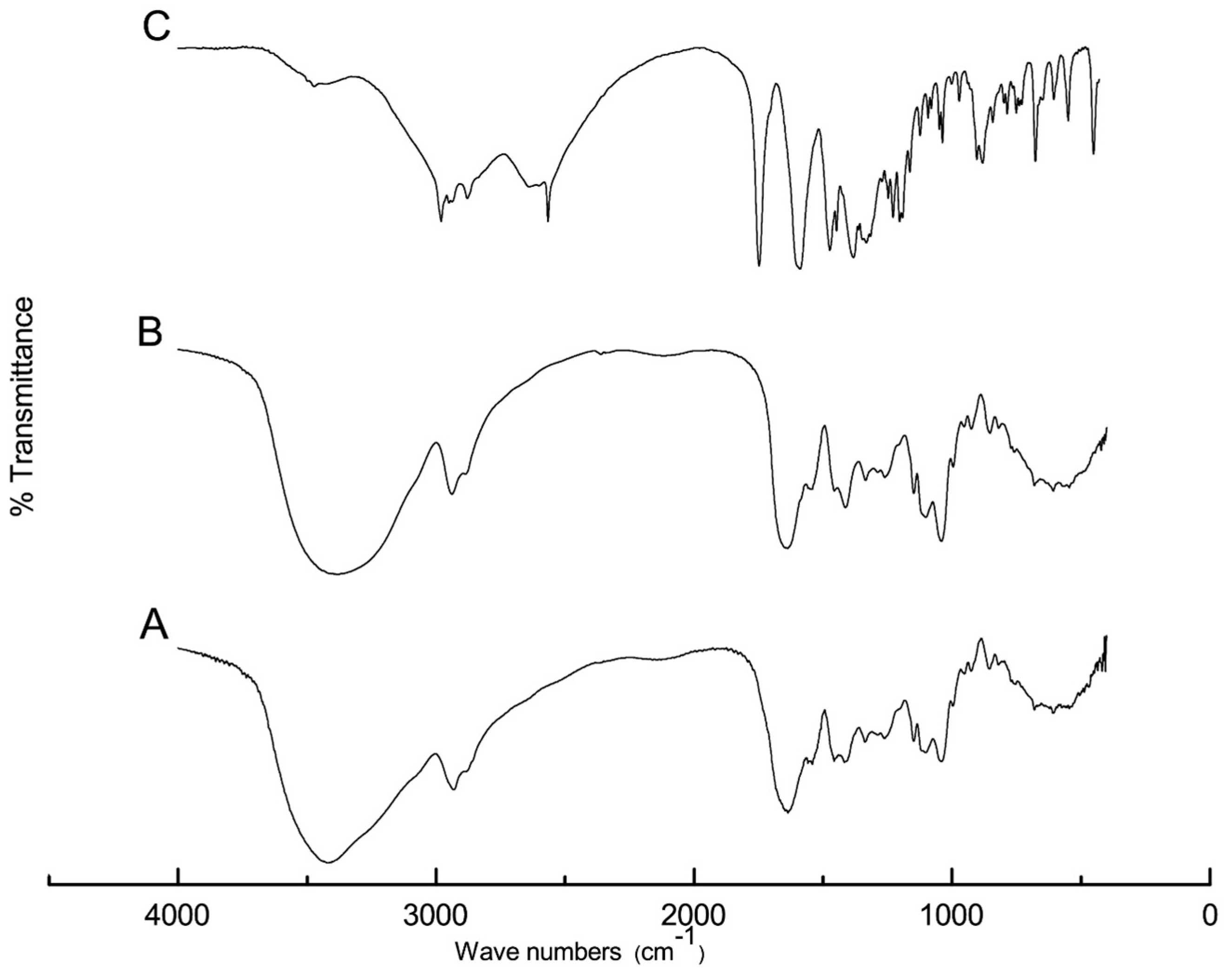 Pharmaceuticals 16 01323 g001