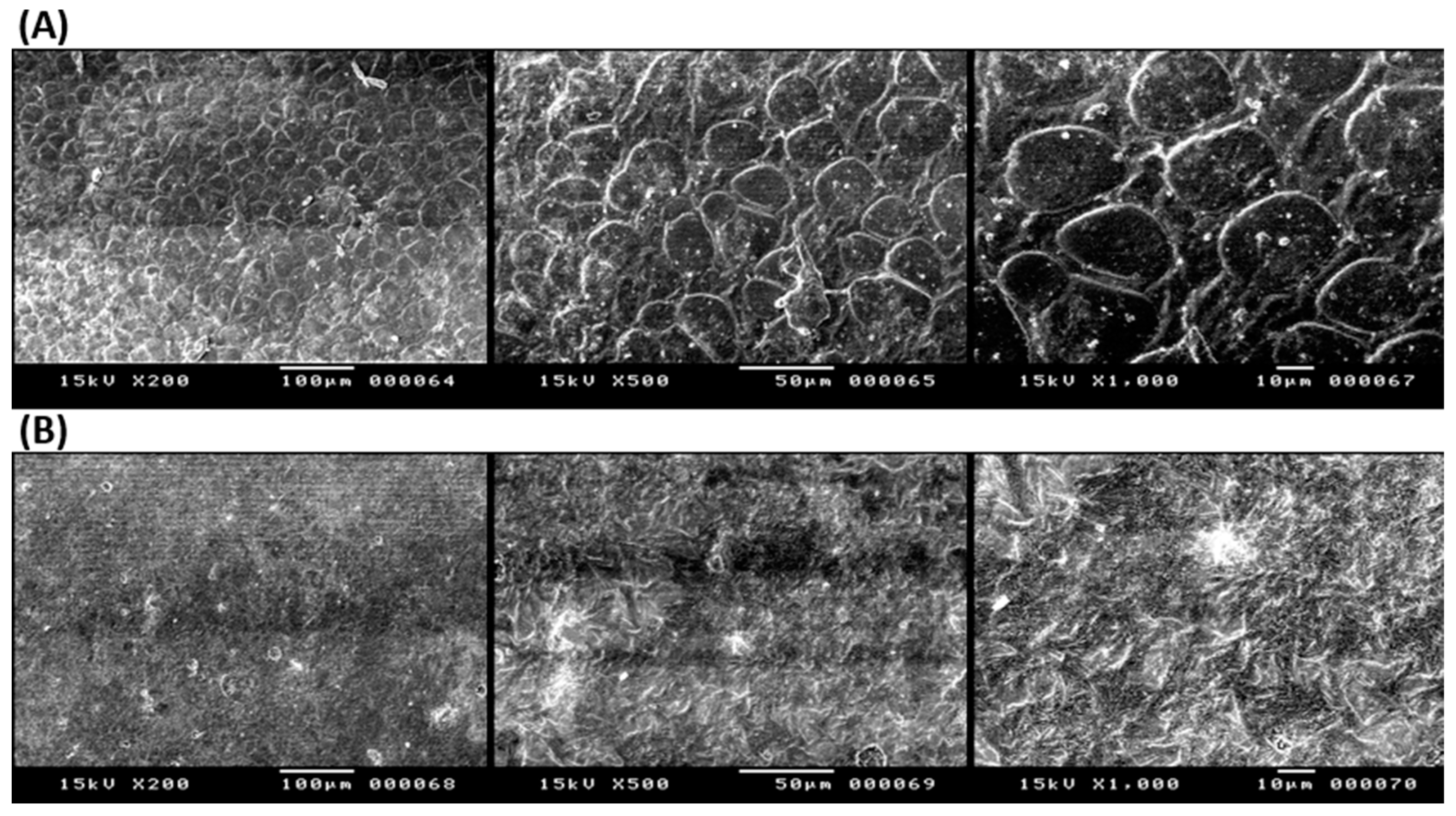 Pharmaceuticals 16 01323 g004