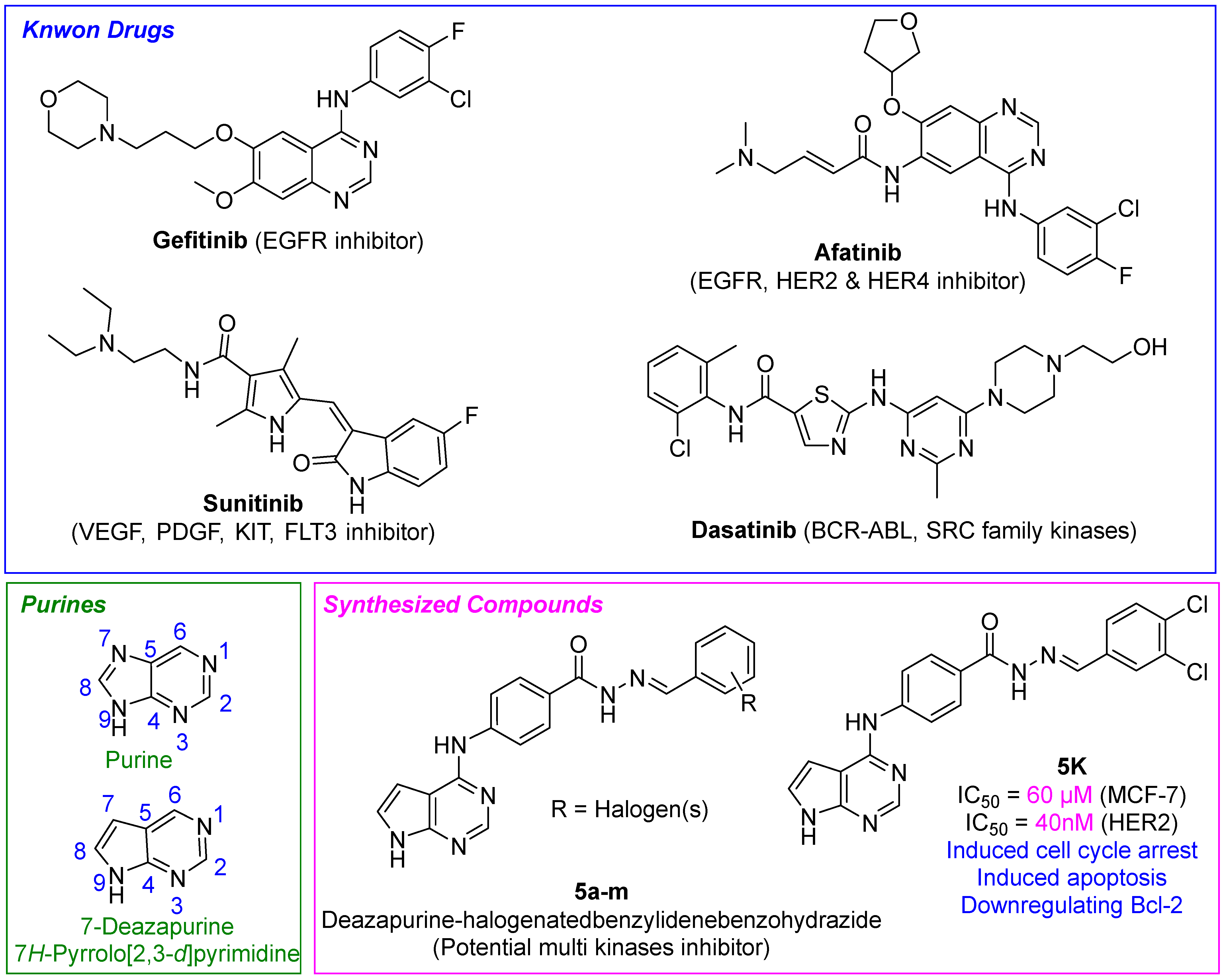 Pharmaceuticals 16 01324 g001