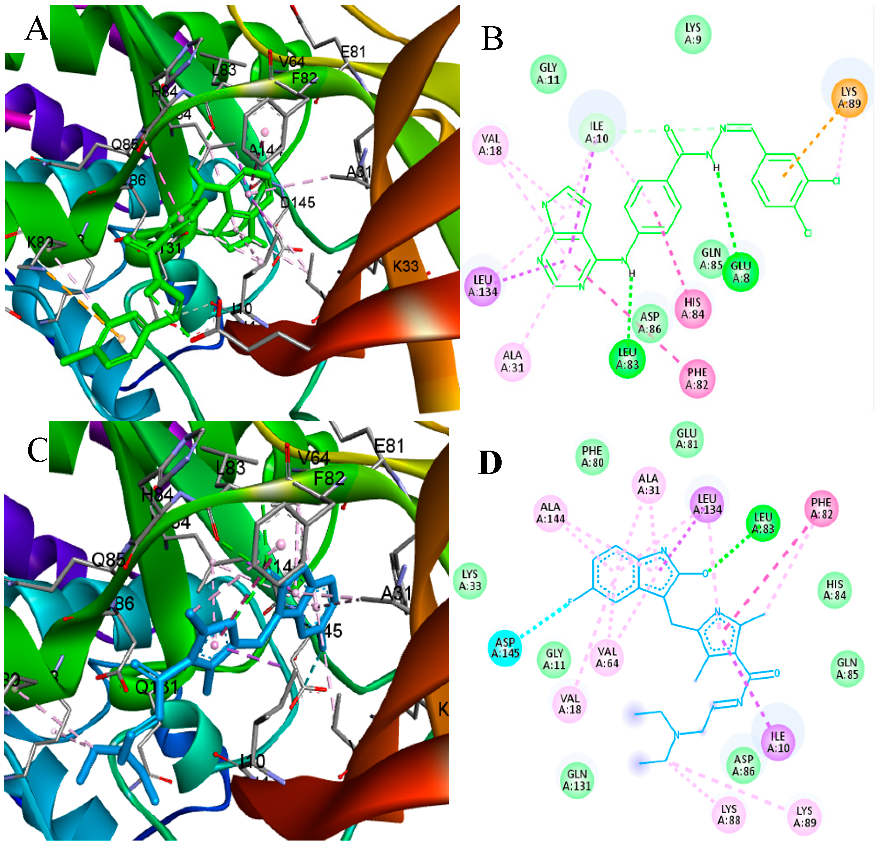 Pharmaceuticals 16 01324 g011