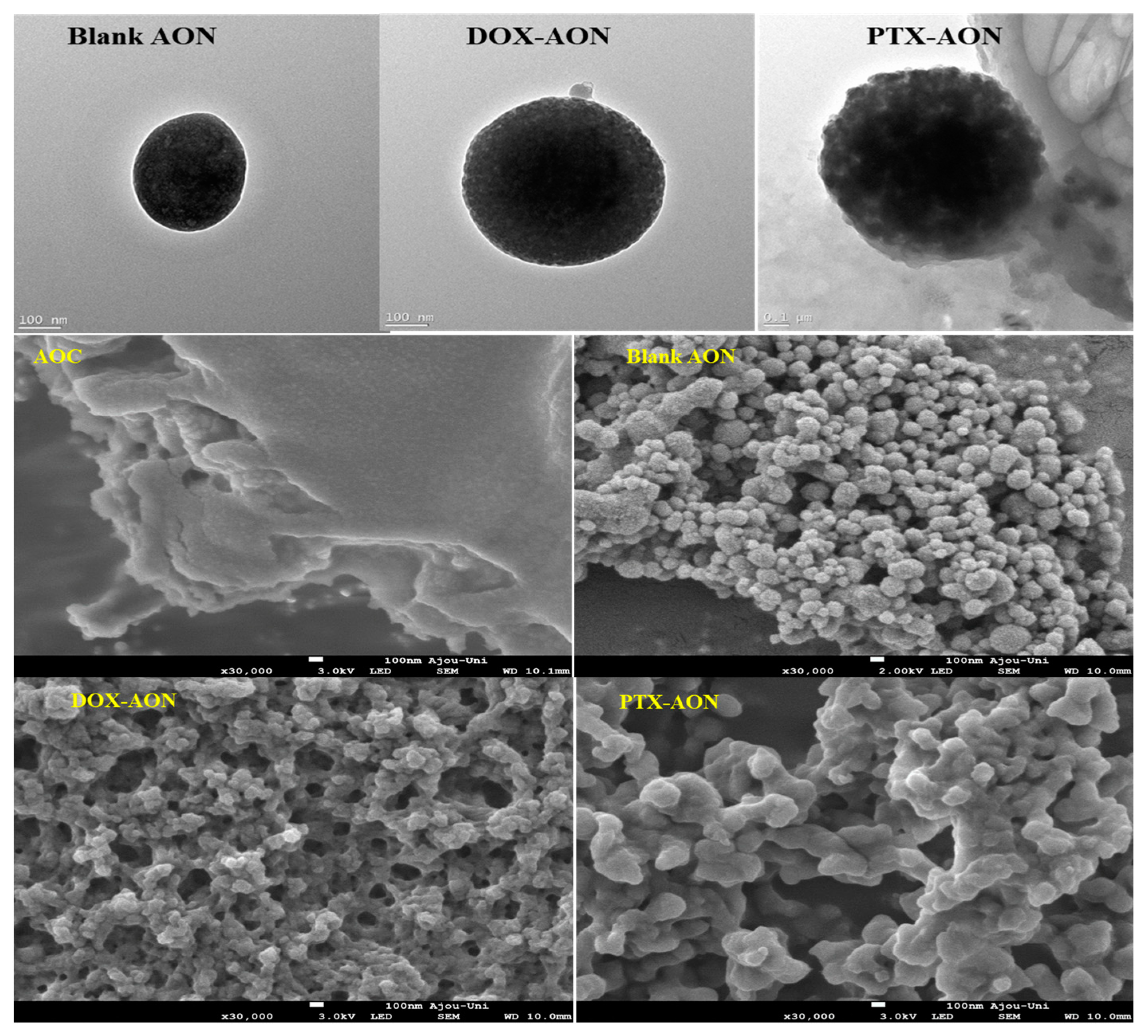 Pharmaceuticals 16 01330 g001