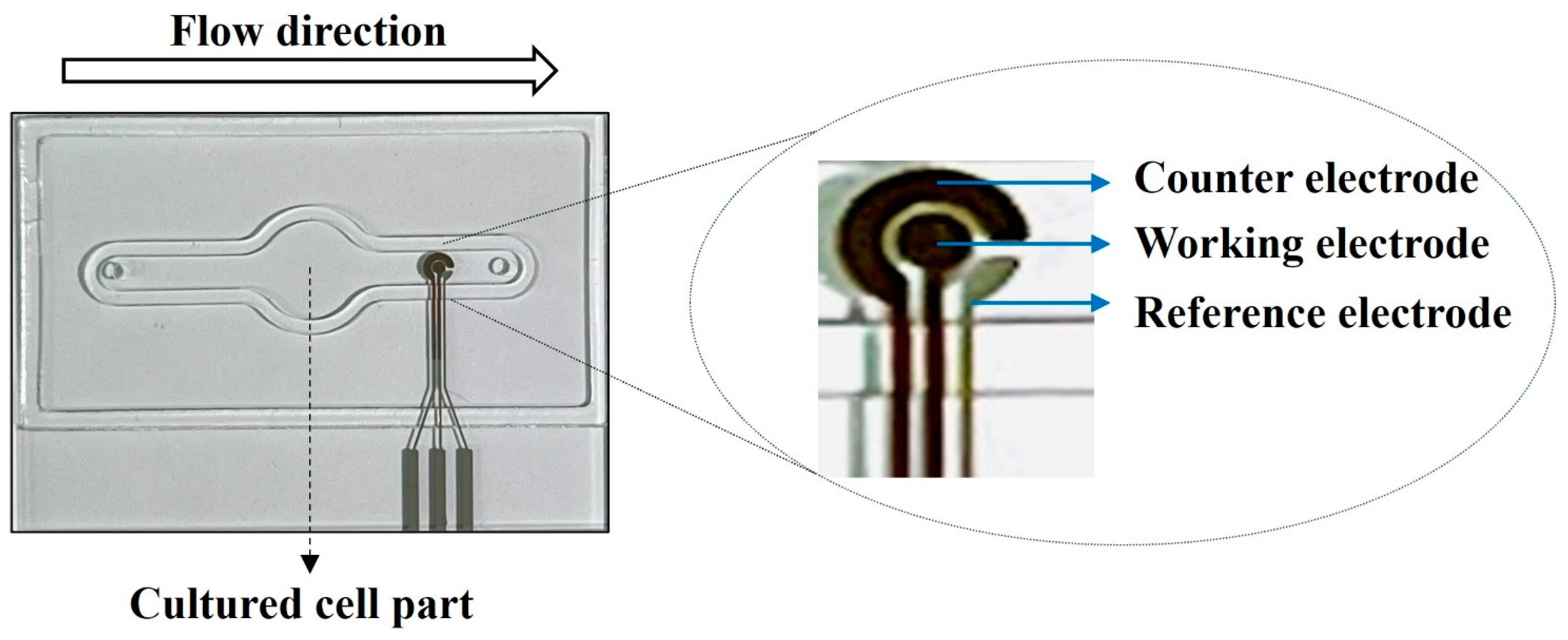 Pharmaceuticals 16 01330 g011
