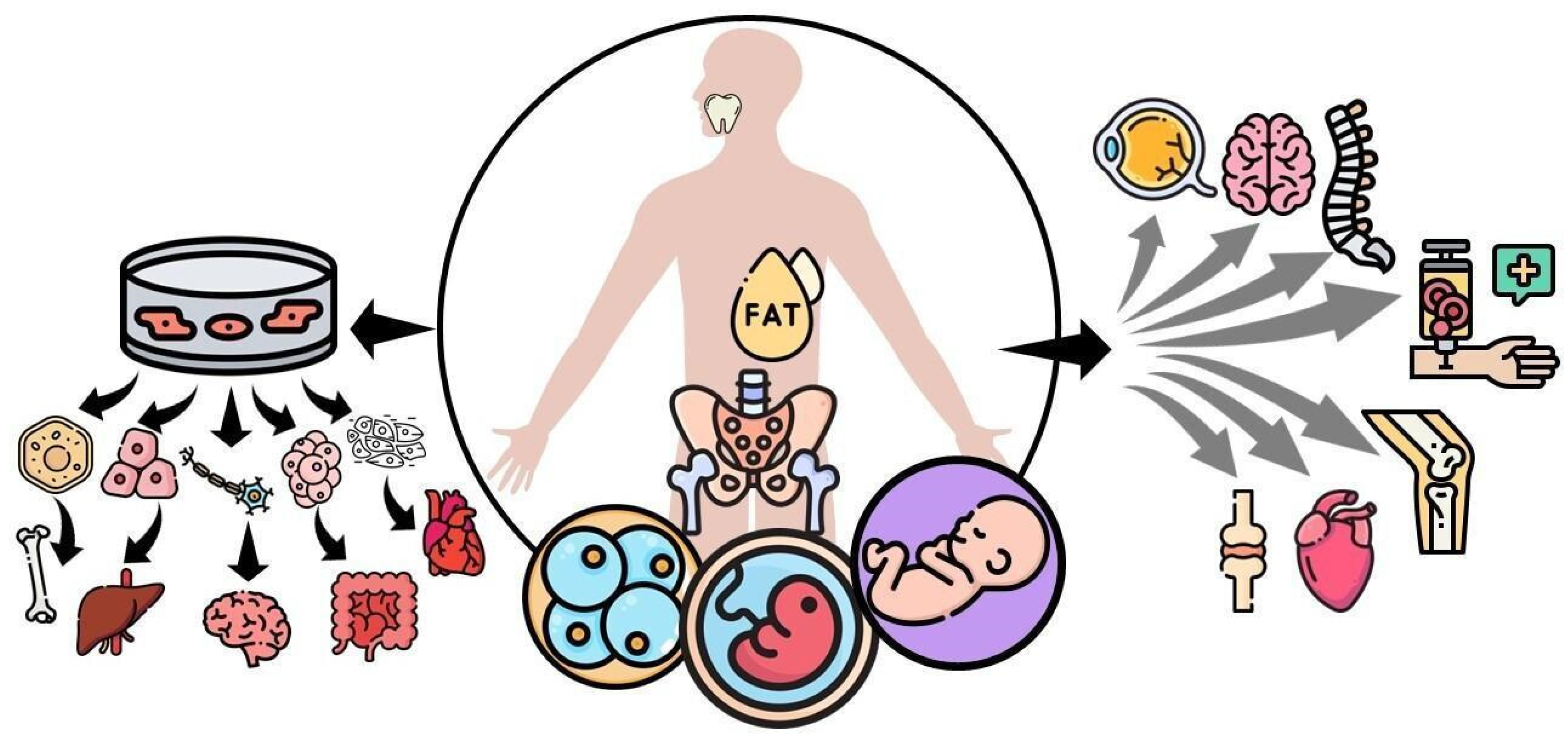 【早い者勝ち】Ai Revo STEM CELL 10ml 早い者勝ち】Ai Revo STEM CELL 10ml