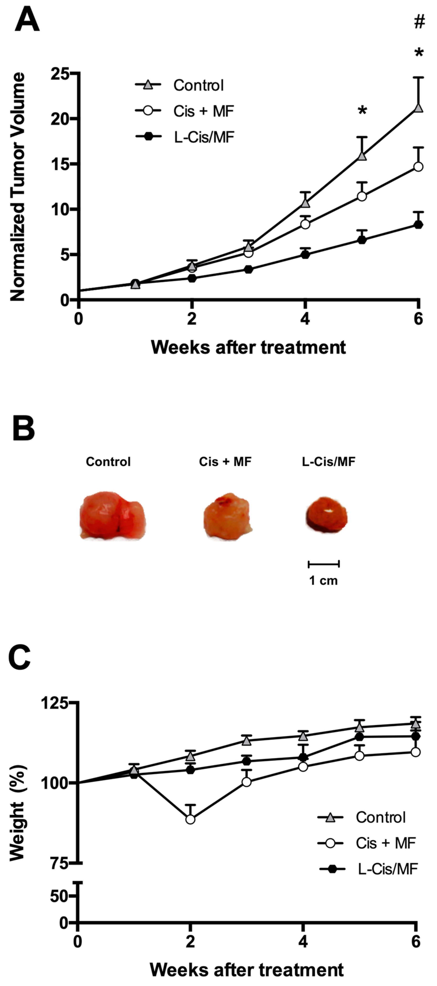 Pharmaceuticals 16 01337 g007