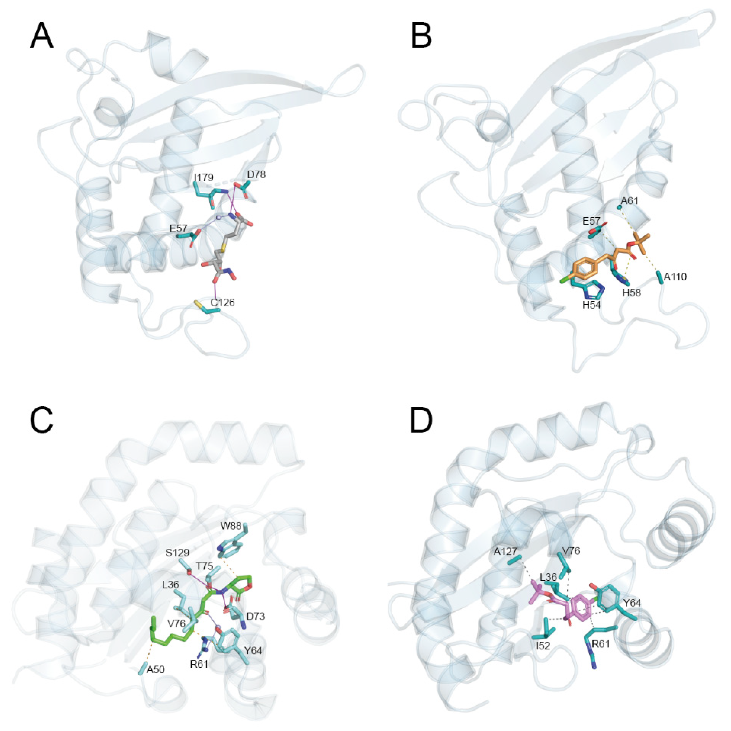 Pharmaceuticals 16 01339 g005