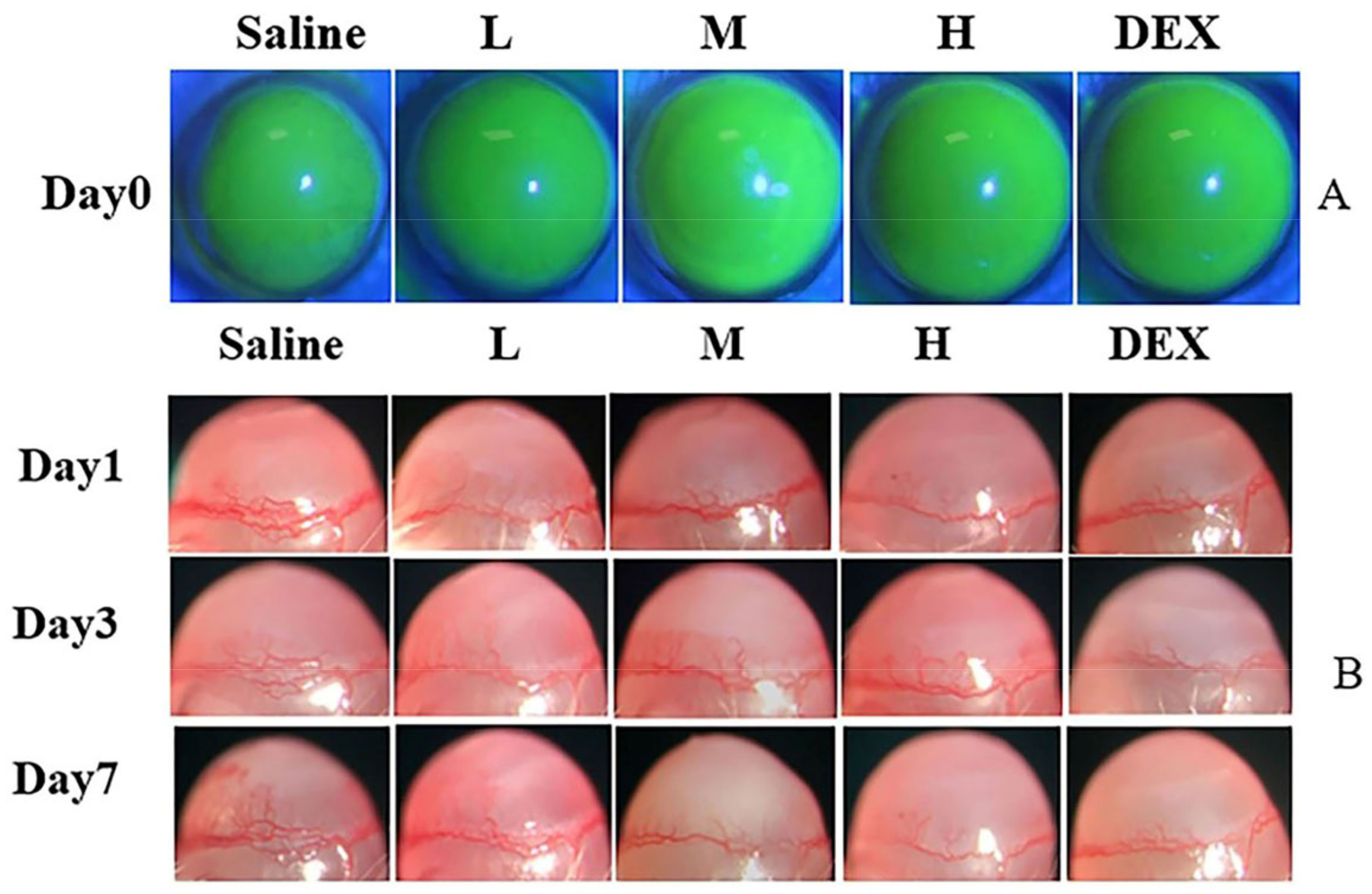 Pharmaceuticals 16 01342 g013