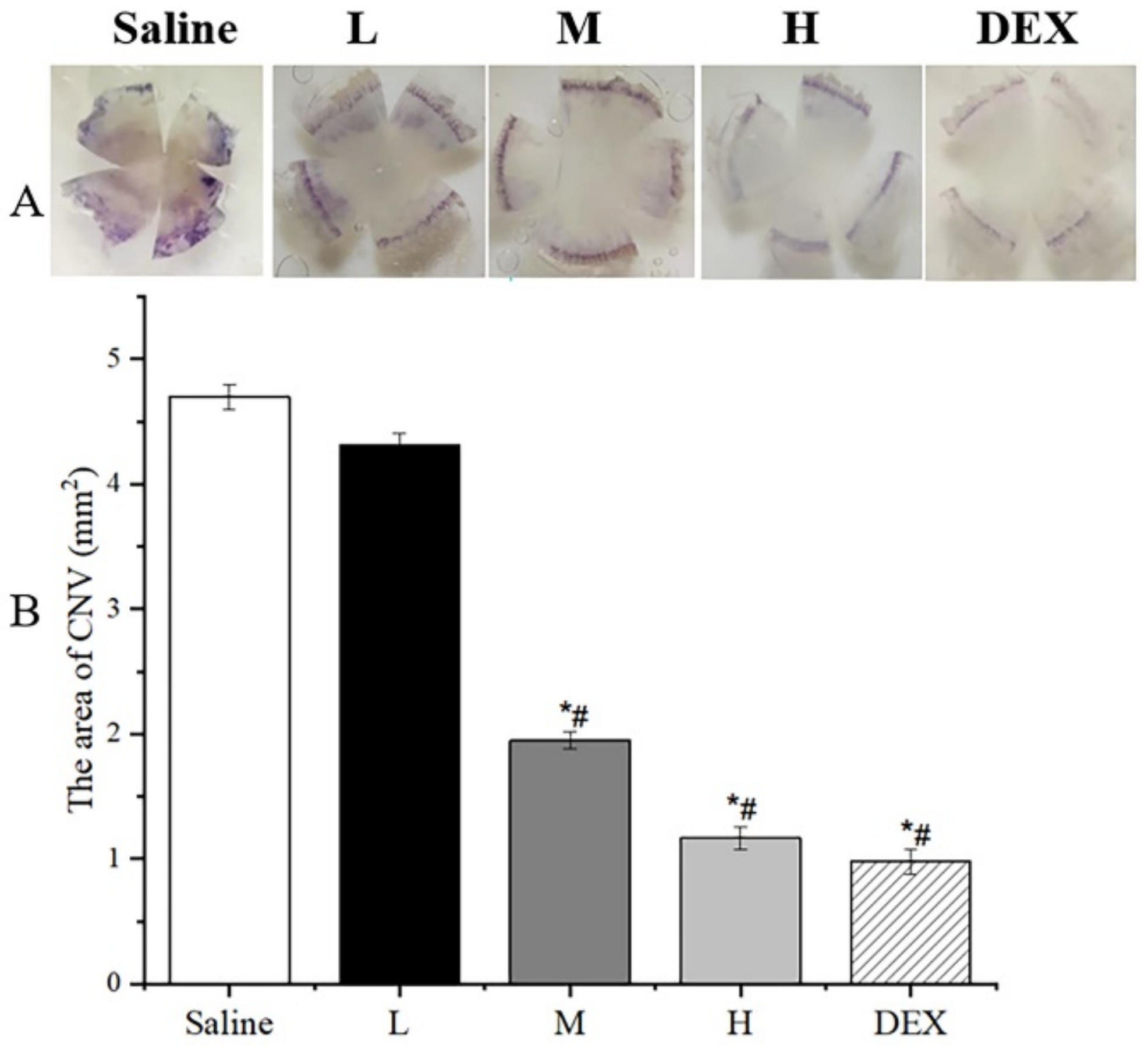 Pharmaceuticals 16 01342 g014
