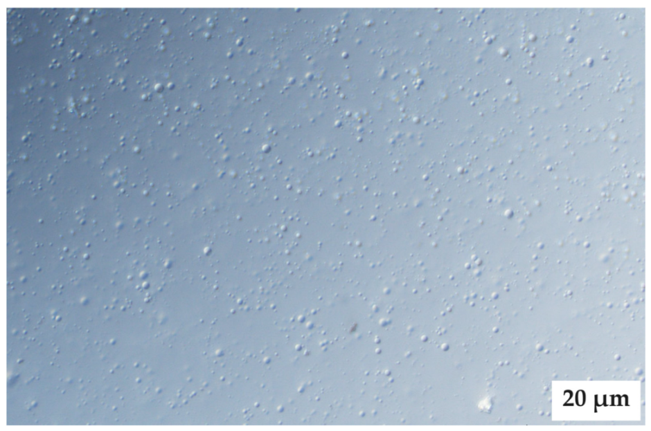 Pharmaceuticals 16 01348 g012