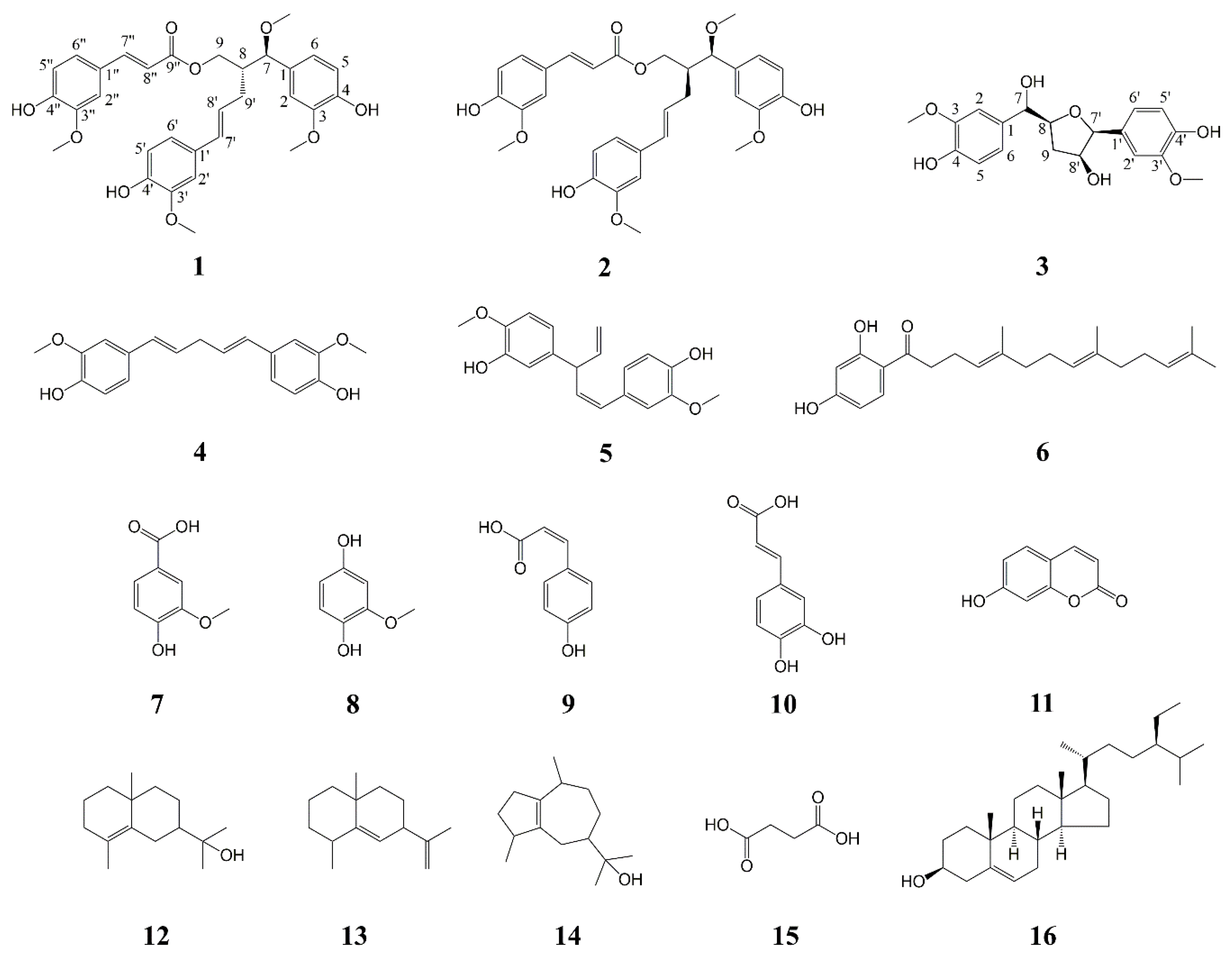 Pharmaceuticals 16 01351 g001