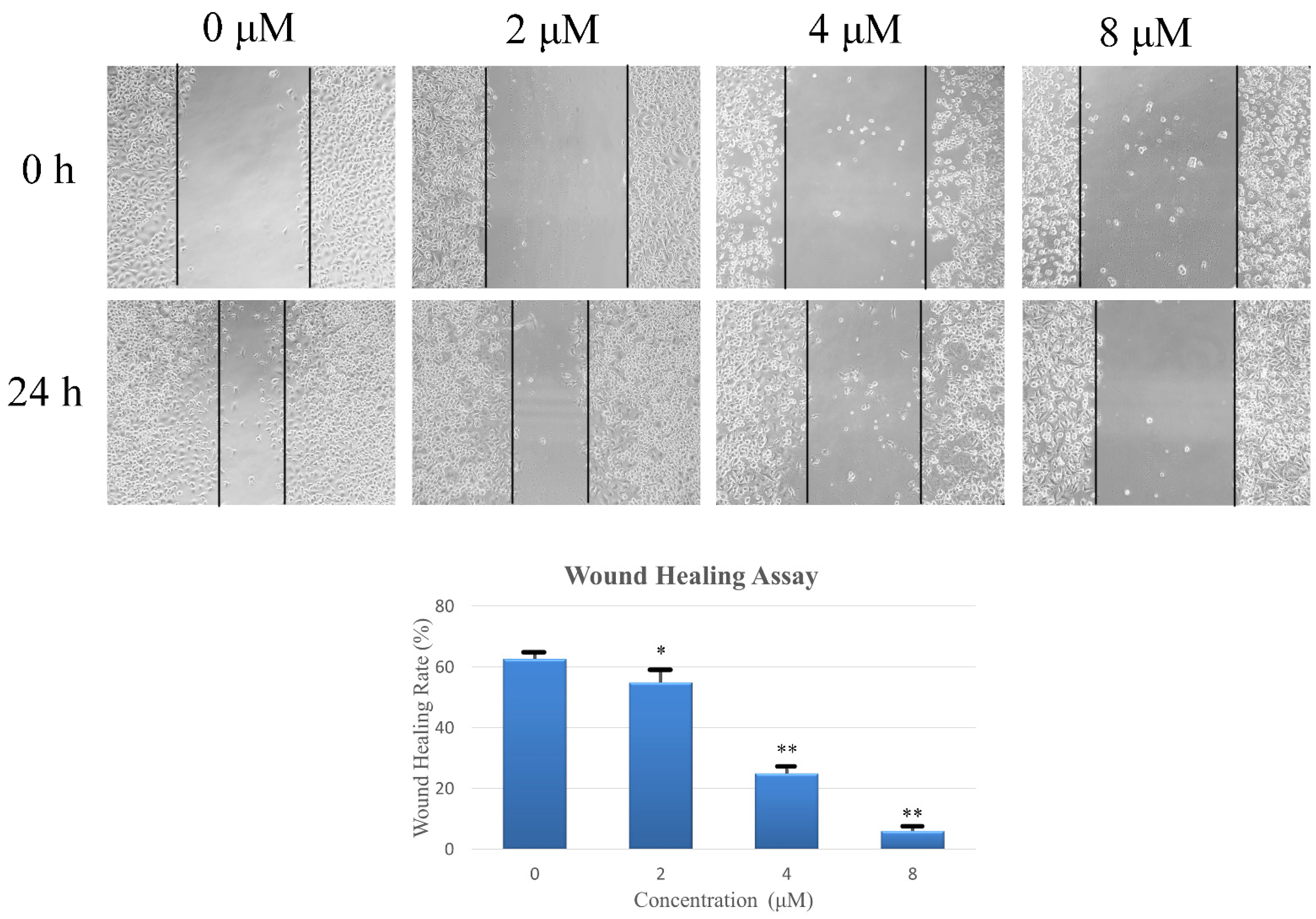 Pharmaceuticals 16 01351 g006