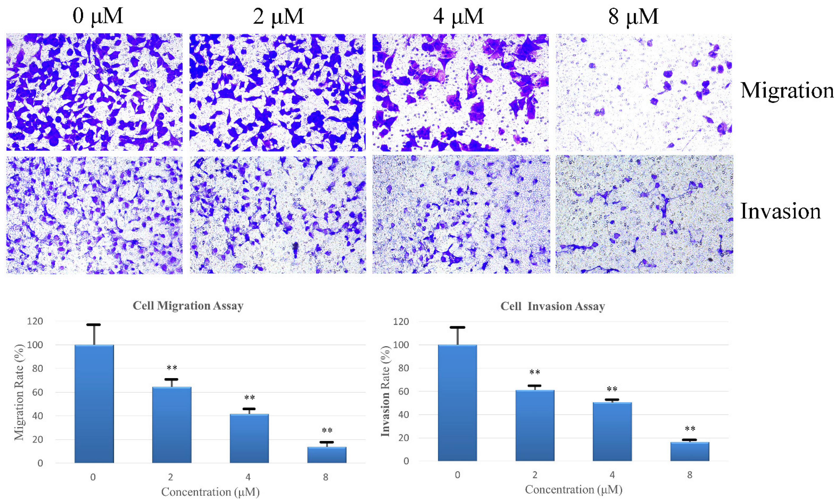 Pharmaceuticals 16 01351 g007